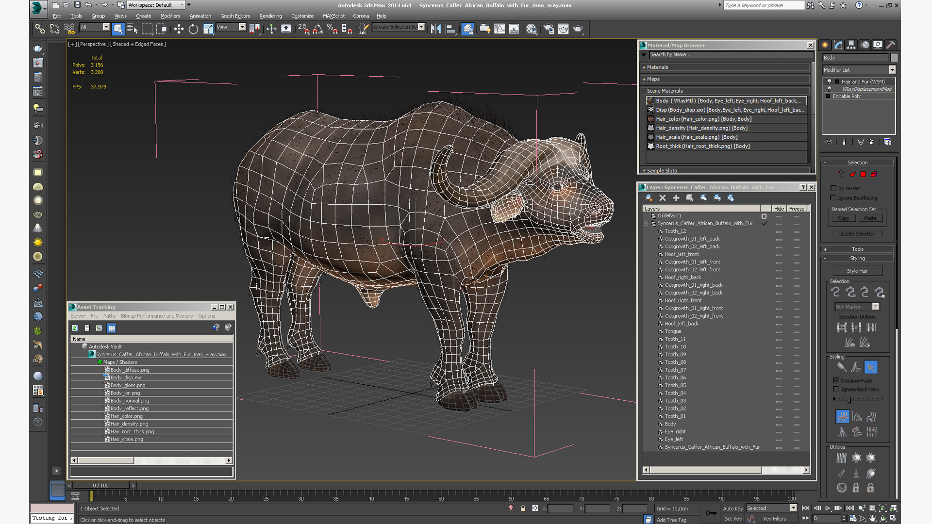 3D model Syncerus Caffer African Buffalo with Fur