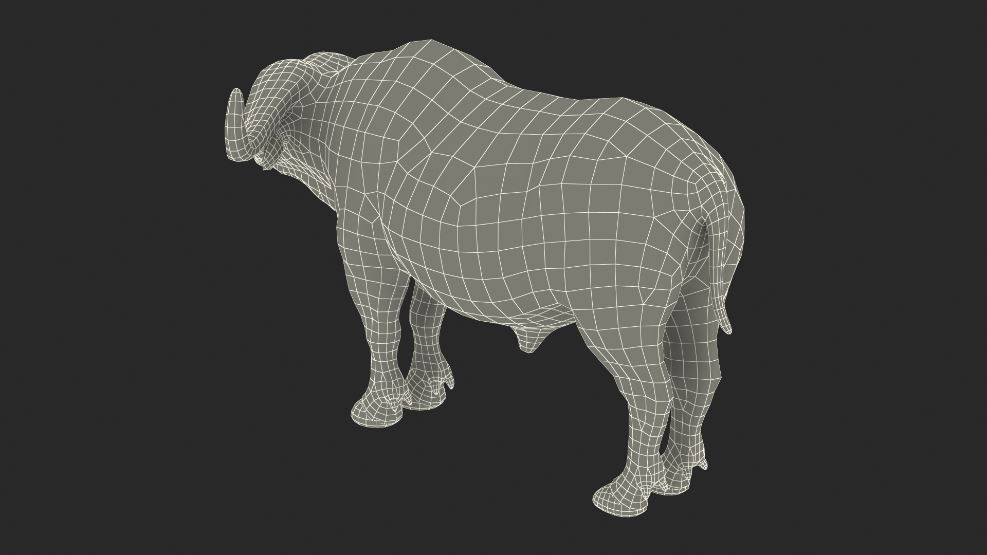 3D model Syncerus Caffer African Buffalo with Fur
