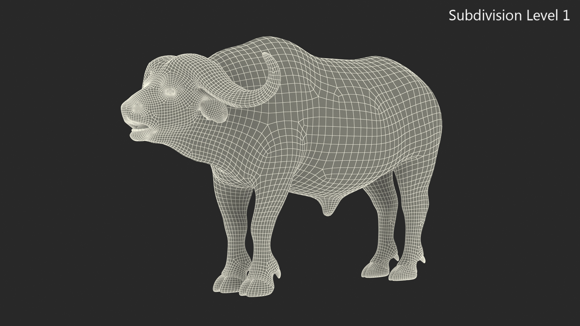 3D model Syncerus Caffer African Buffalo with Fur
