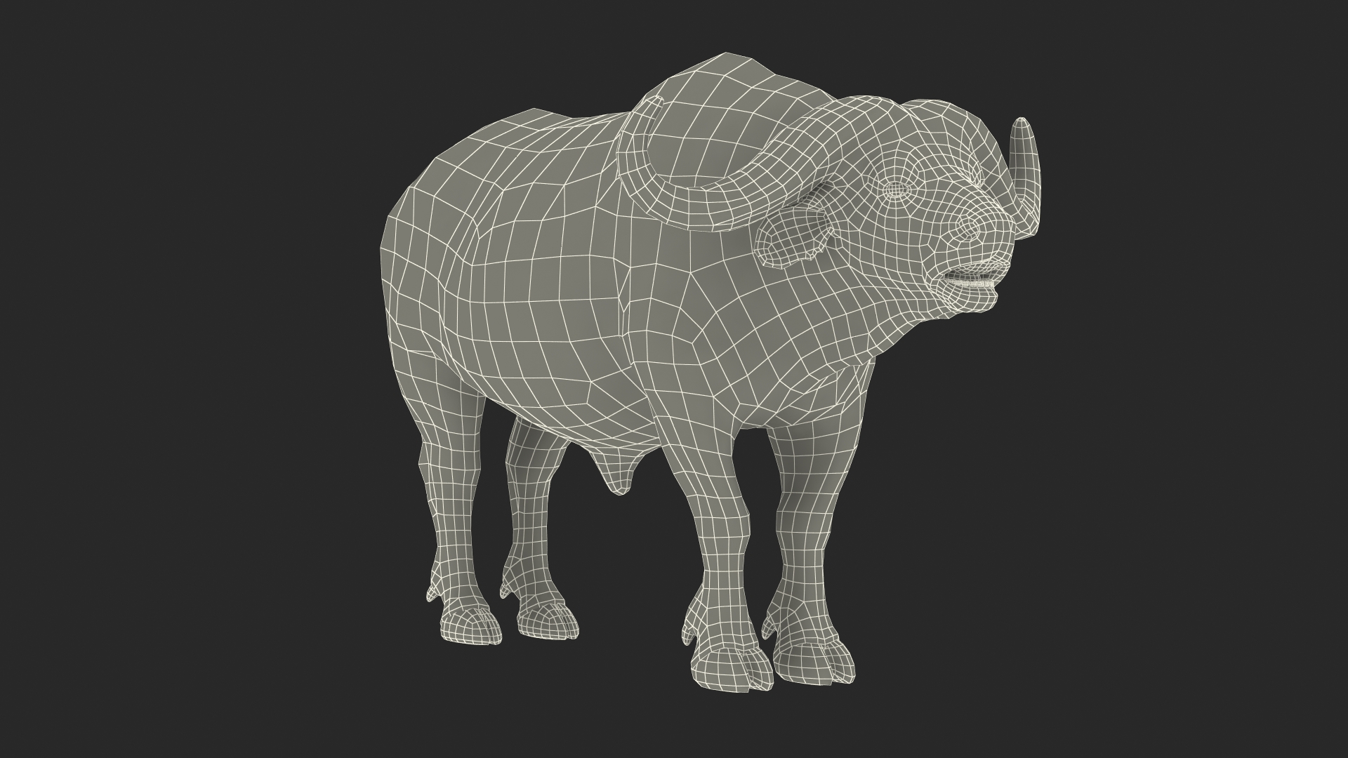3D model Syncerus Caffer African Buffalo with Fur
