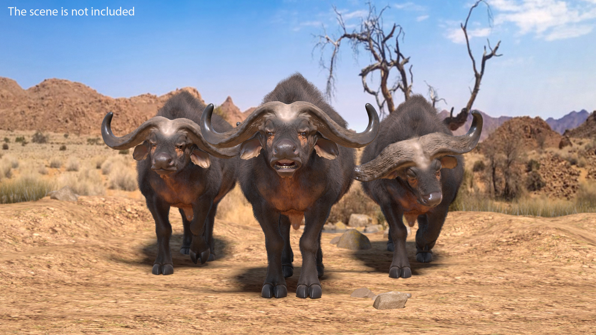 3D model Syncerus Caffer African Buffalo with Fur