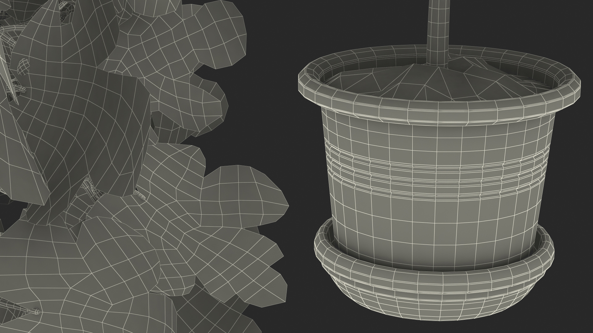 3D Potted Small Fig Tree with Fruits model