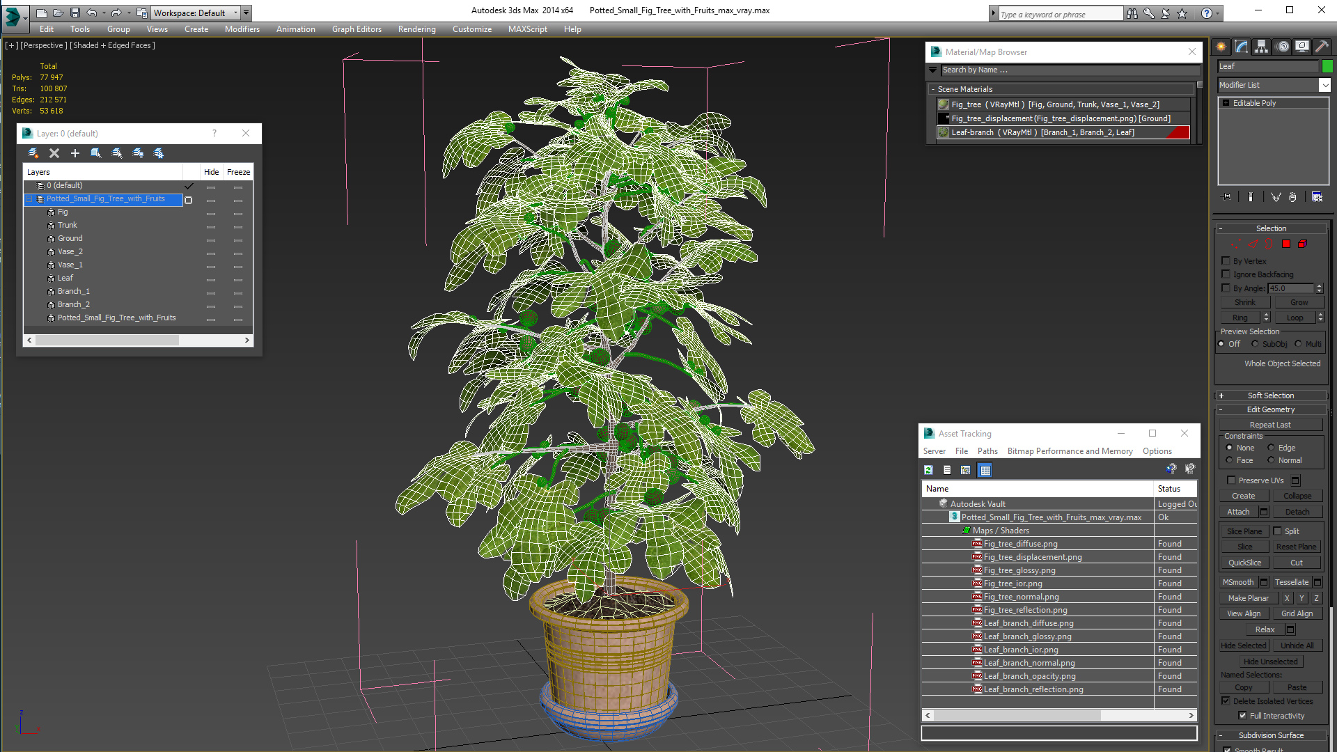 3D Potted Small Fig Tree with Fruits model