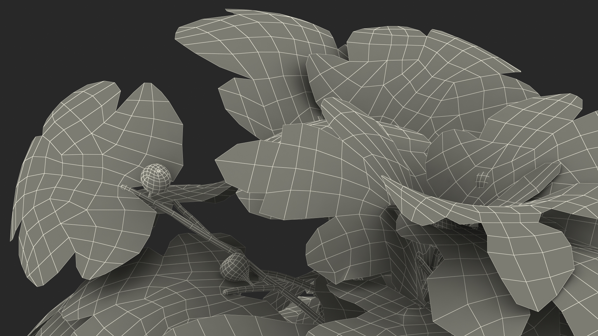 3D Potted Small Fig Tree with Fruits model