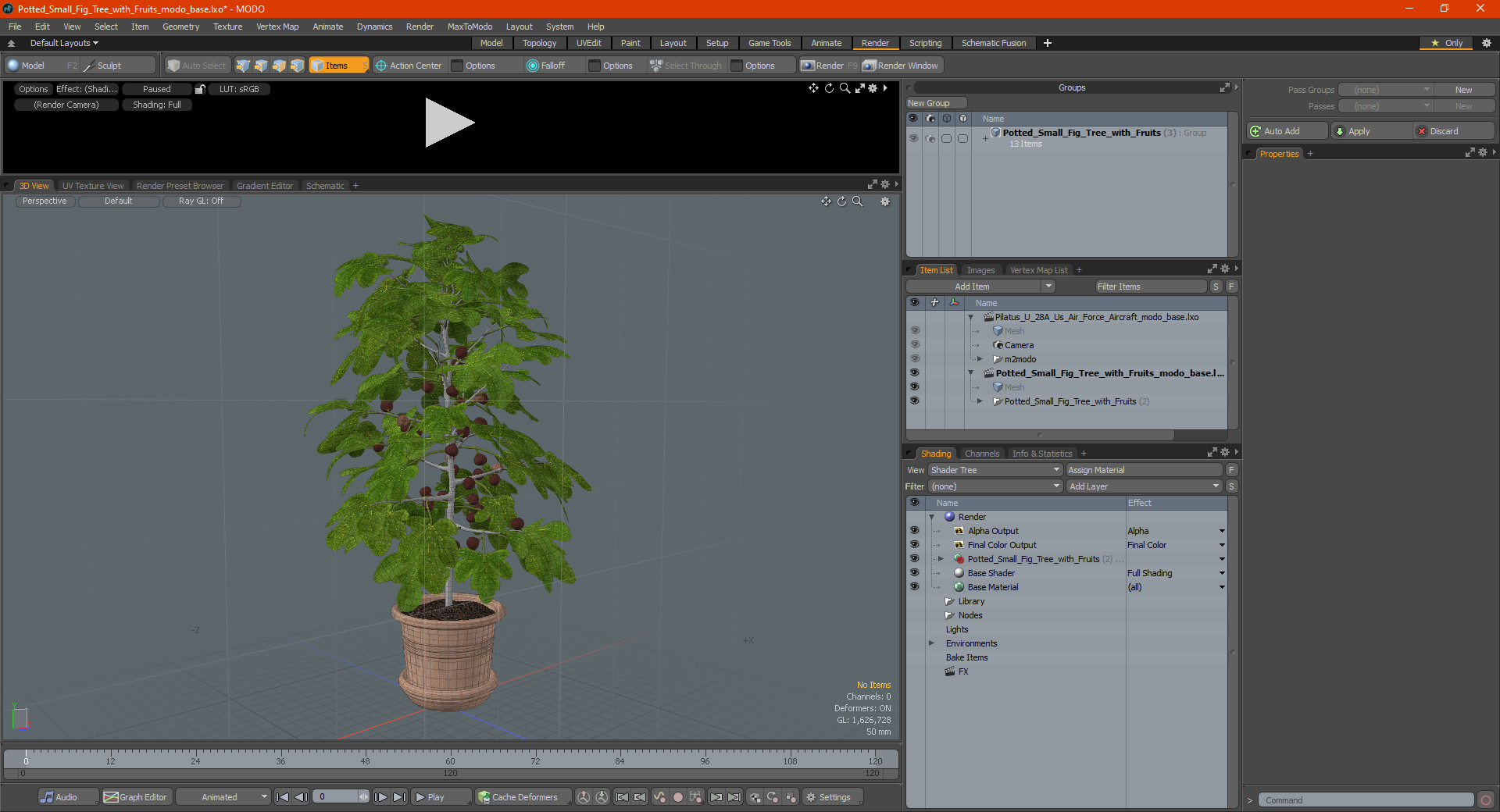 3D Potted Small Fig Tree with Fruits model