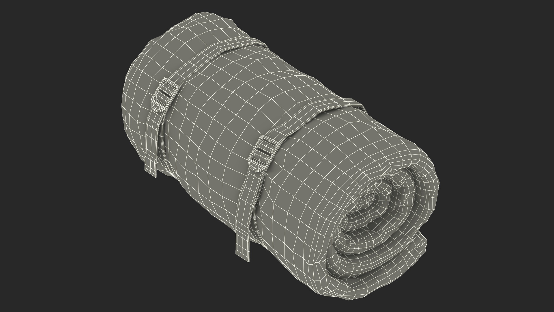 Rolled Up Sleeping Bag 3D