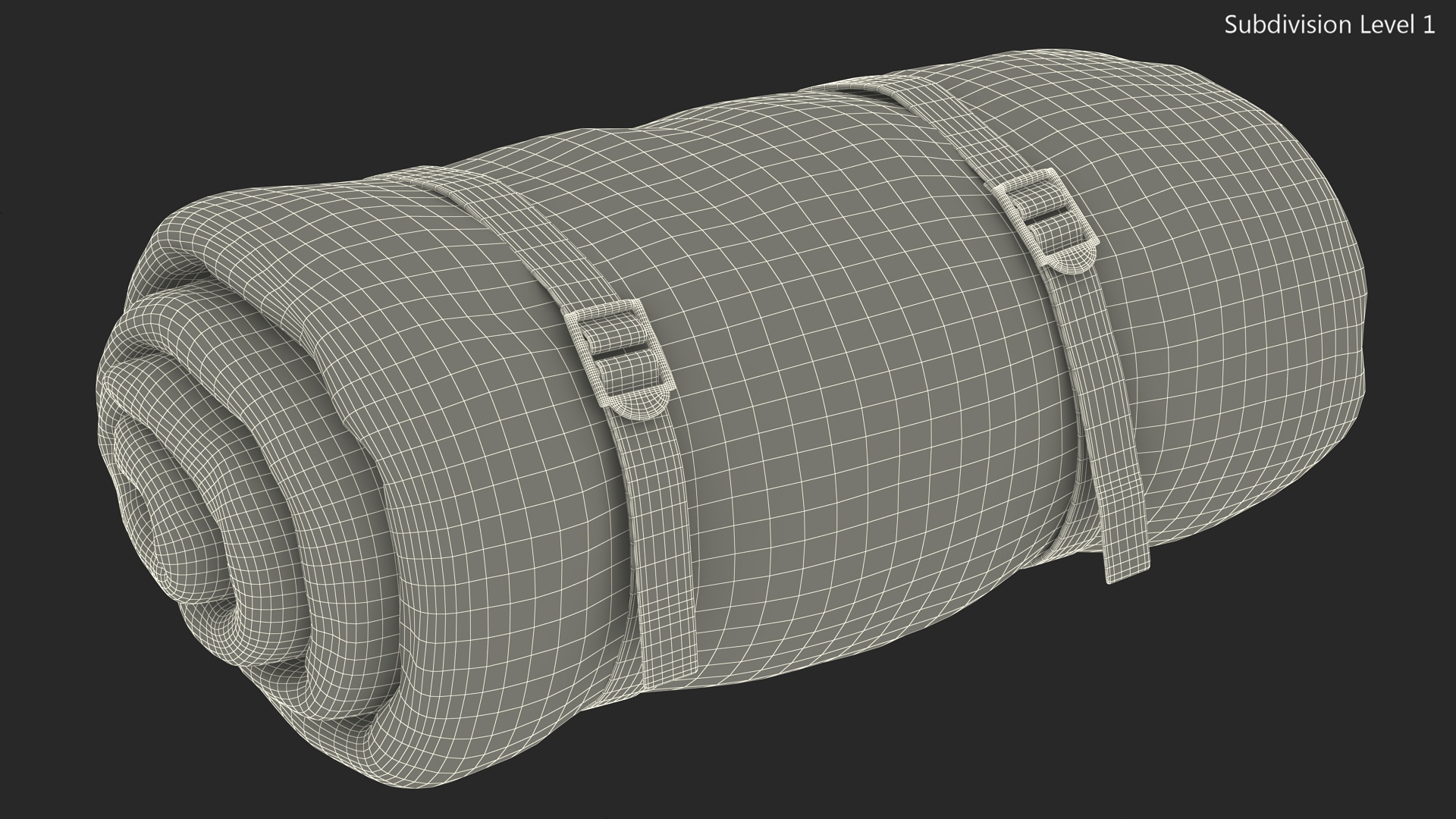 Rolled Up Sleeping Bag 3D