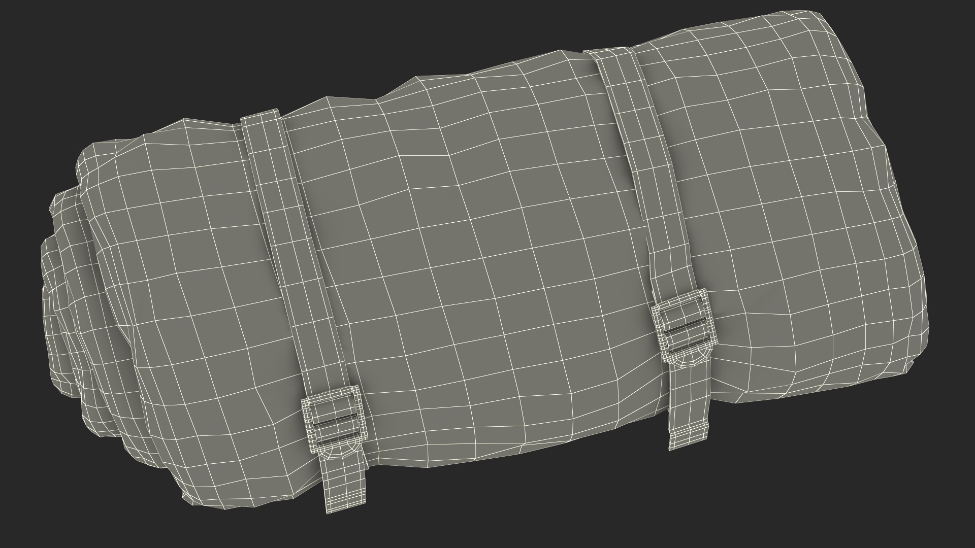 Rolled Up Sleeping Bag 3D