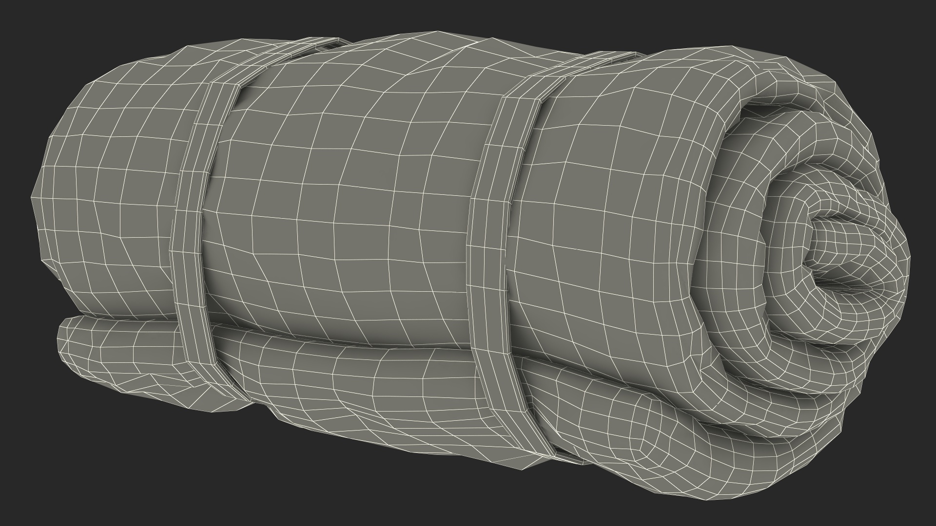 Rolled Up Sleeping Bag 3D