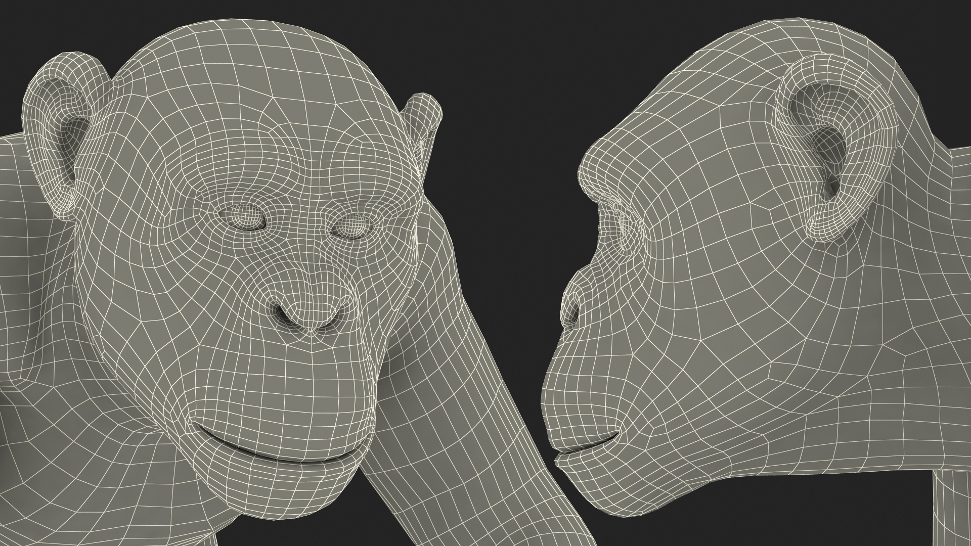 Dark Chimpanzee Walking Pose Fur 3D