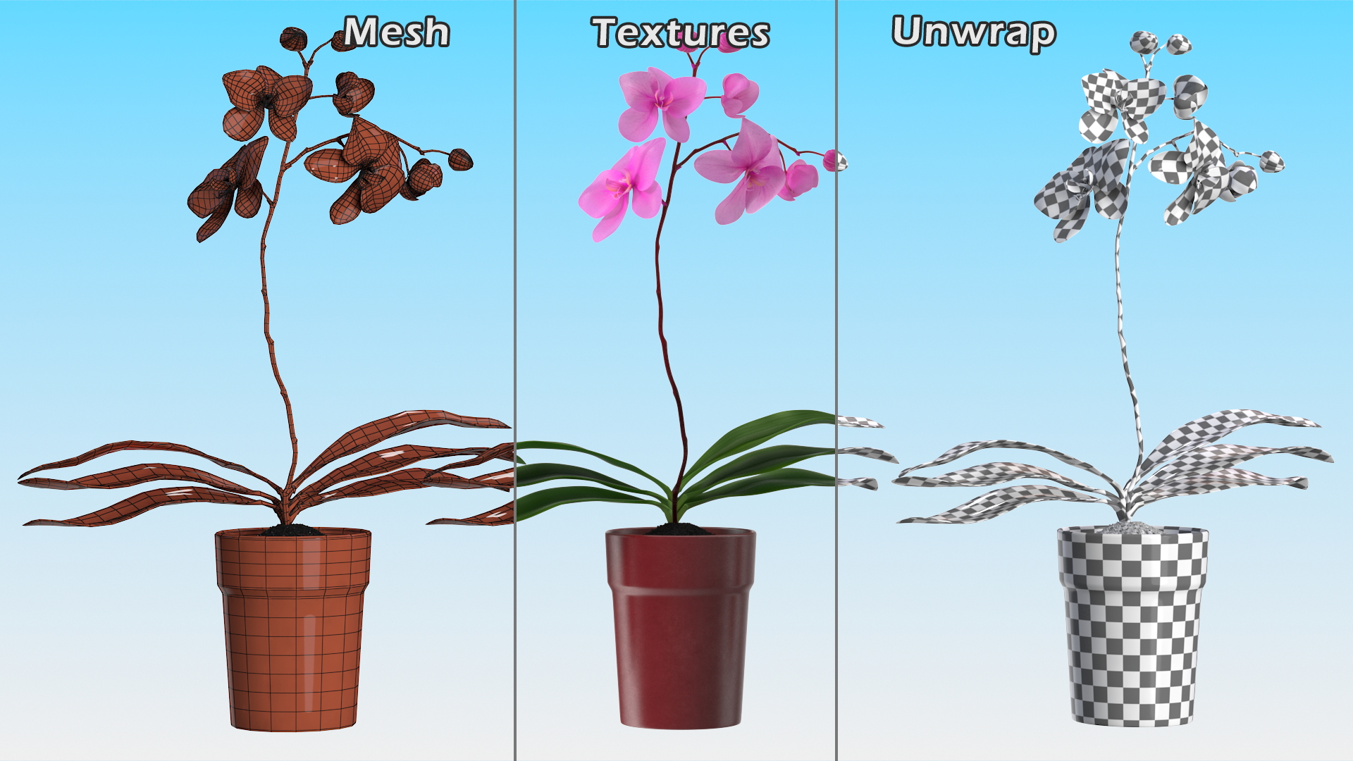 Pink Orchid in Red Pot 3D