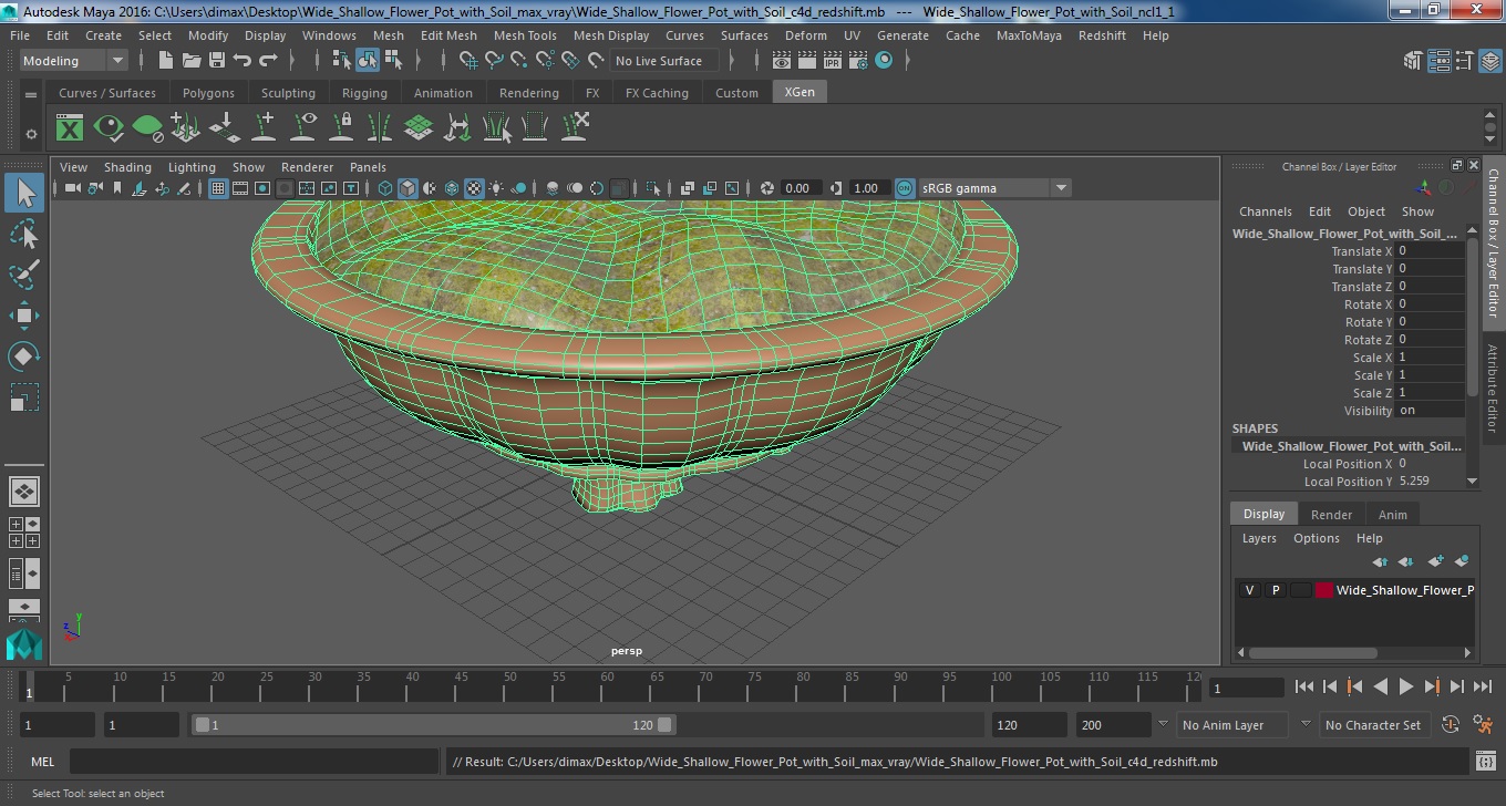 3D Wide Shallow Flower Pot with Soil model
