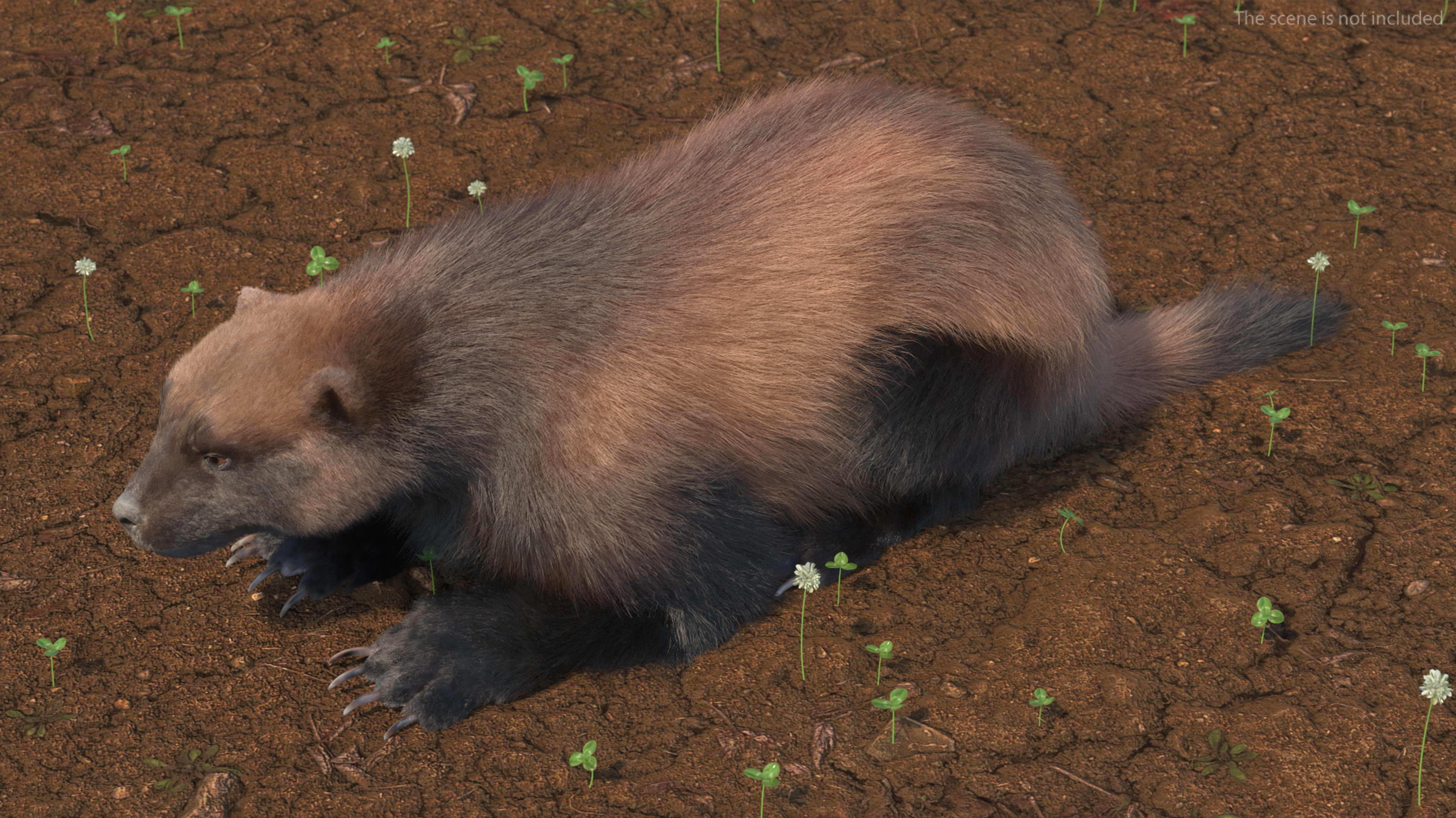 3D model Wolverine Dark Color Lying Down Pose Fur