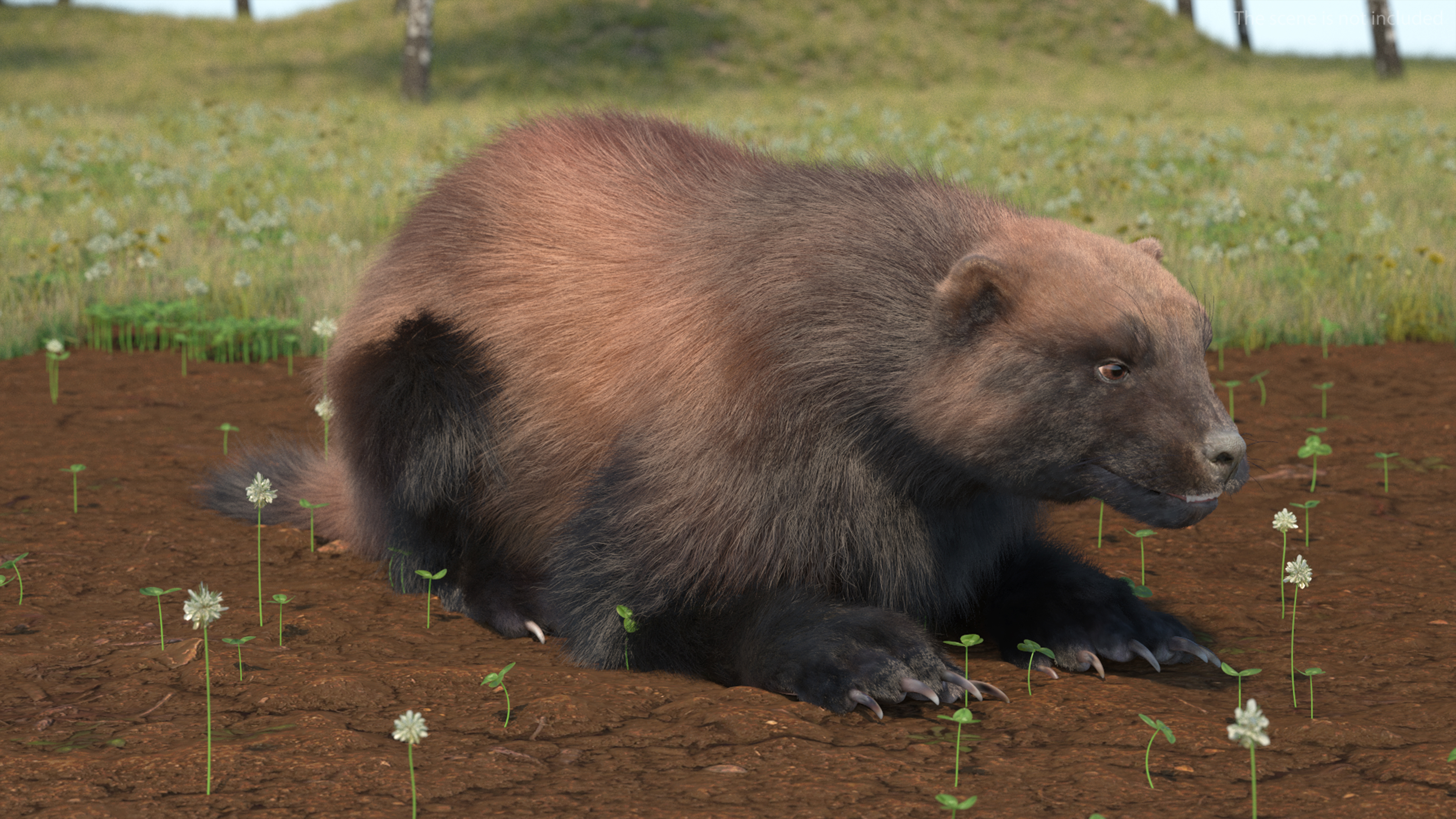3D model Wolverine Dark Color Lying Down Pose Fur
