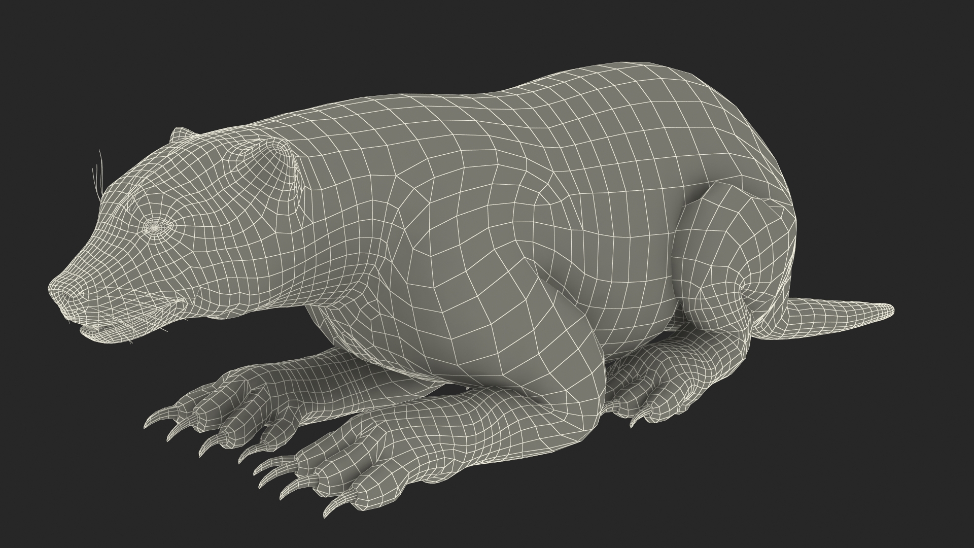 3D model Wolverine Dark Color Lying Down Pose Fur