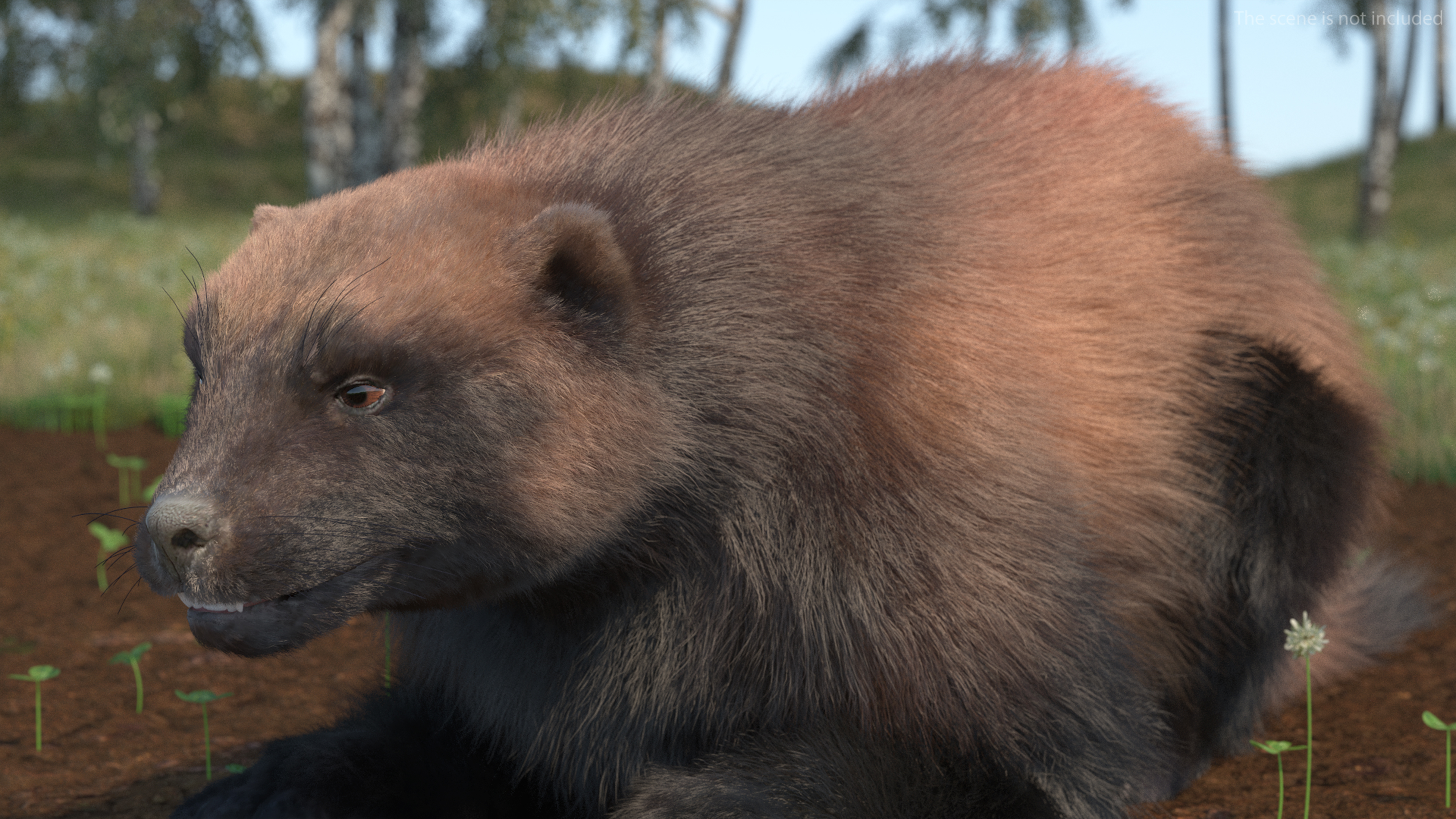 3D model Wolverine Dark Color Lying Down Pose Fur