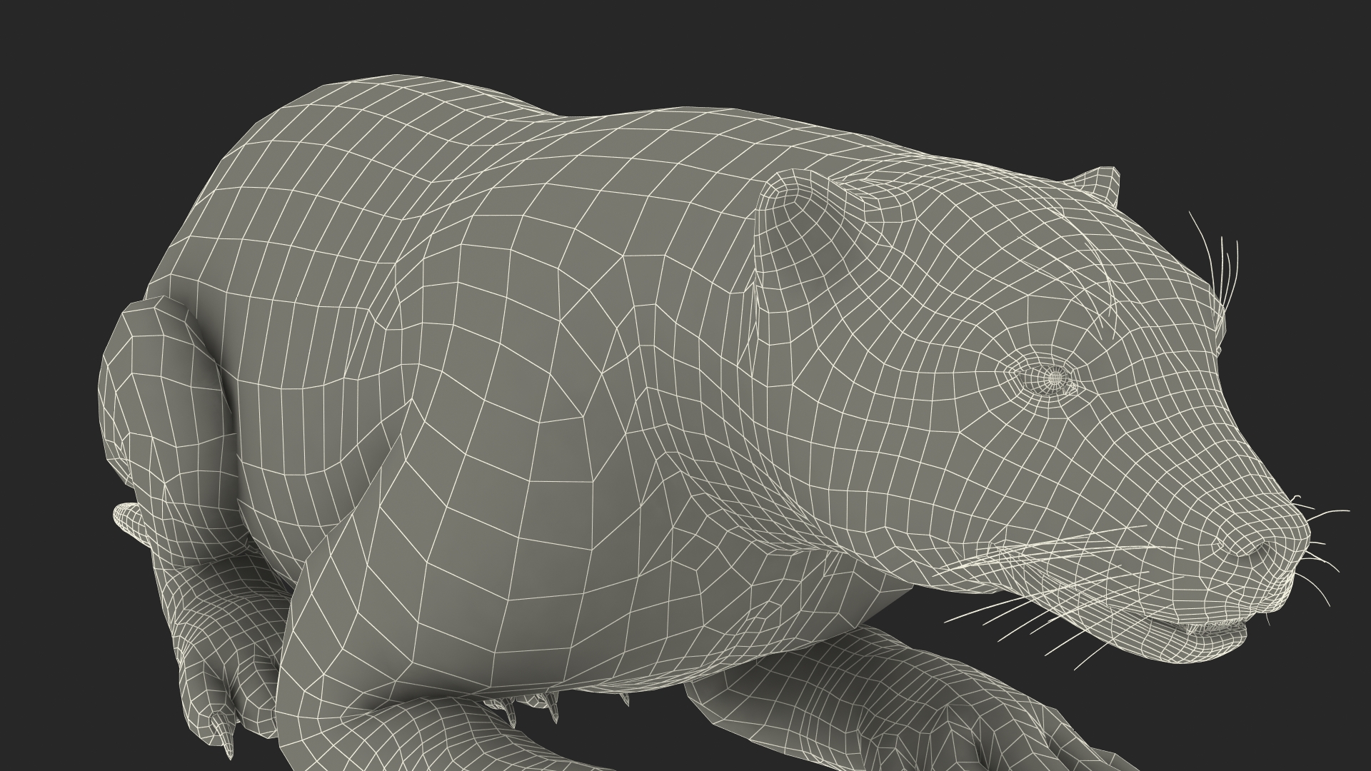 3D model Wolverine Dark Color Lying Down Pose Fur