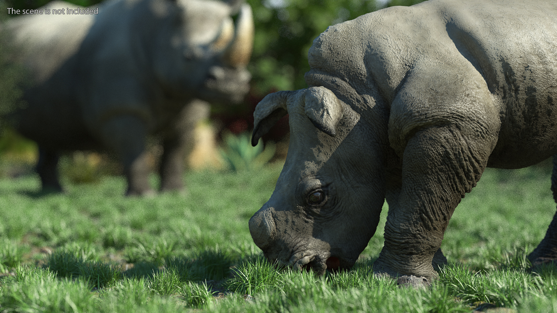 Baby Rhino Drinking Pose 3D model