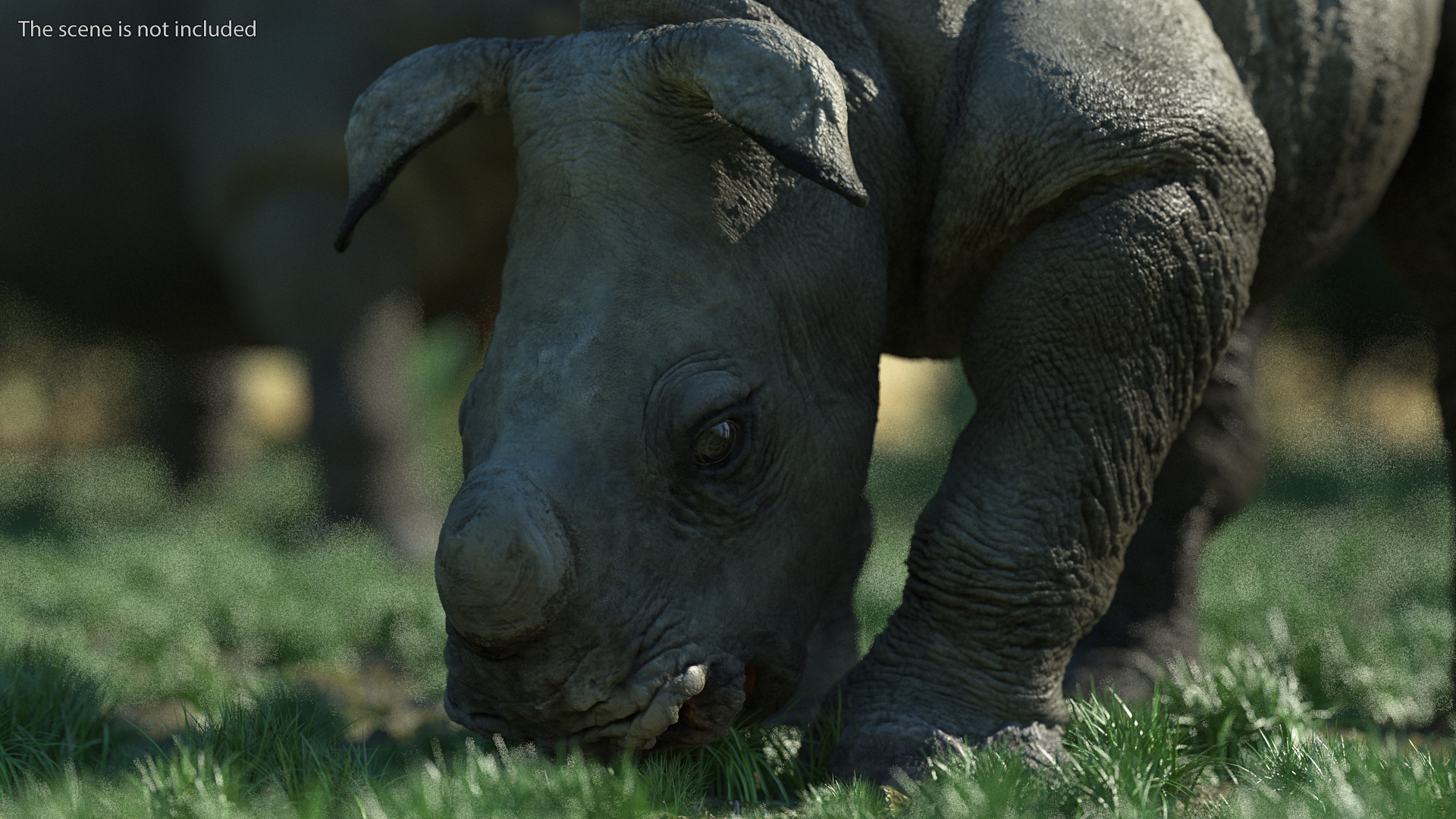 Baby Rhino Drinking Pose 3D model