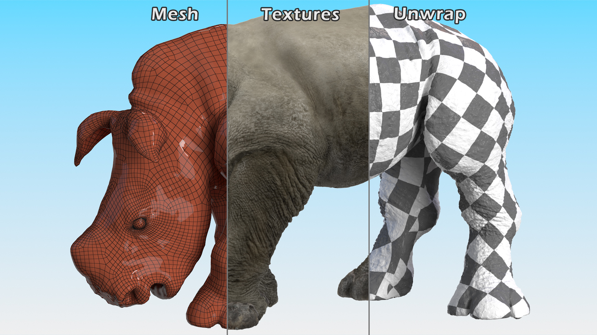 Baby Rhino Drinking Pose 3D model