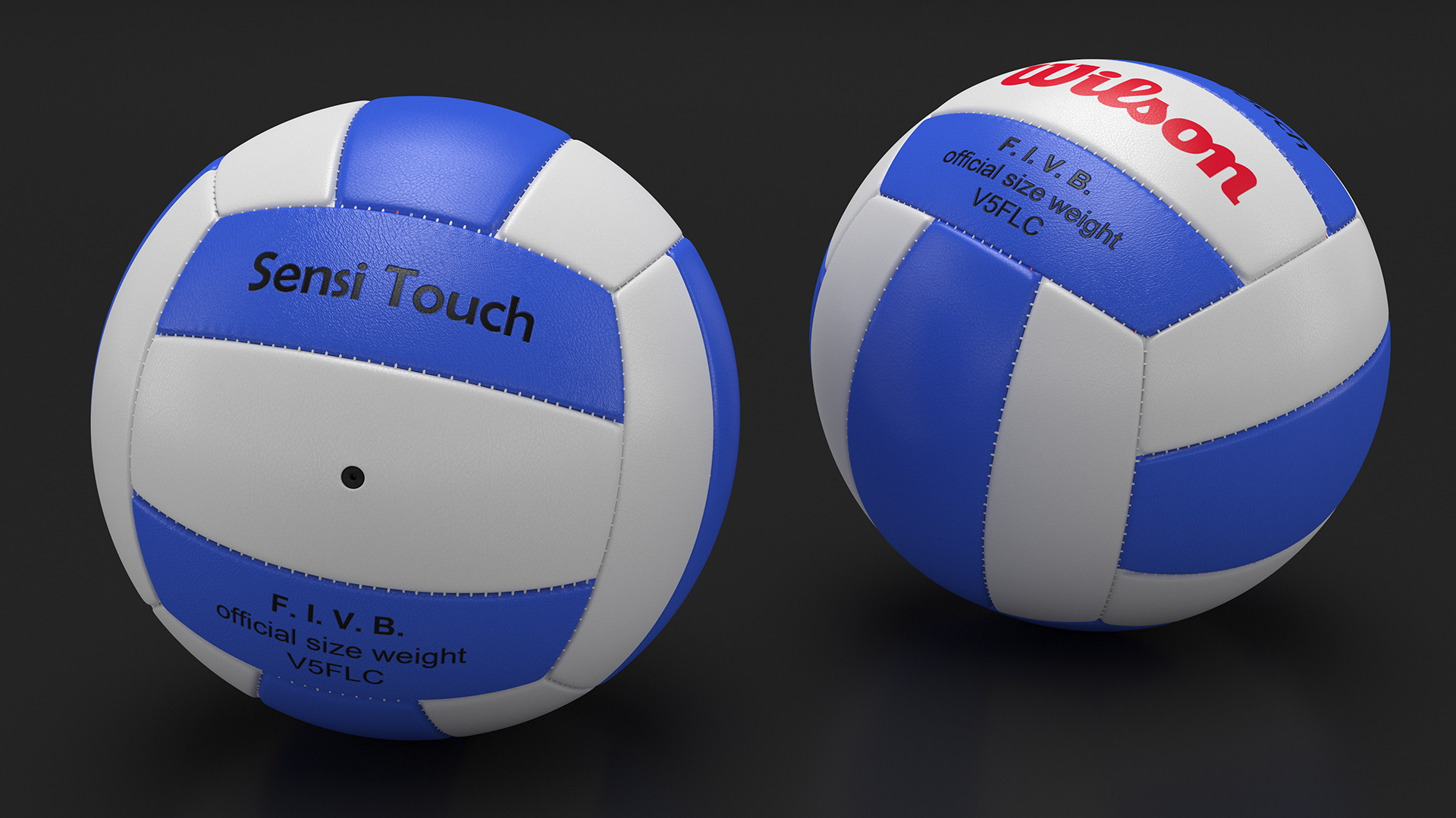 3D model Wilson Soft Play Outdoor Volleyball