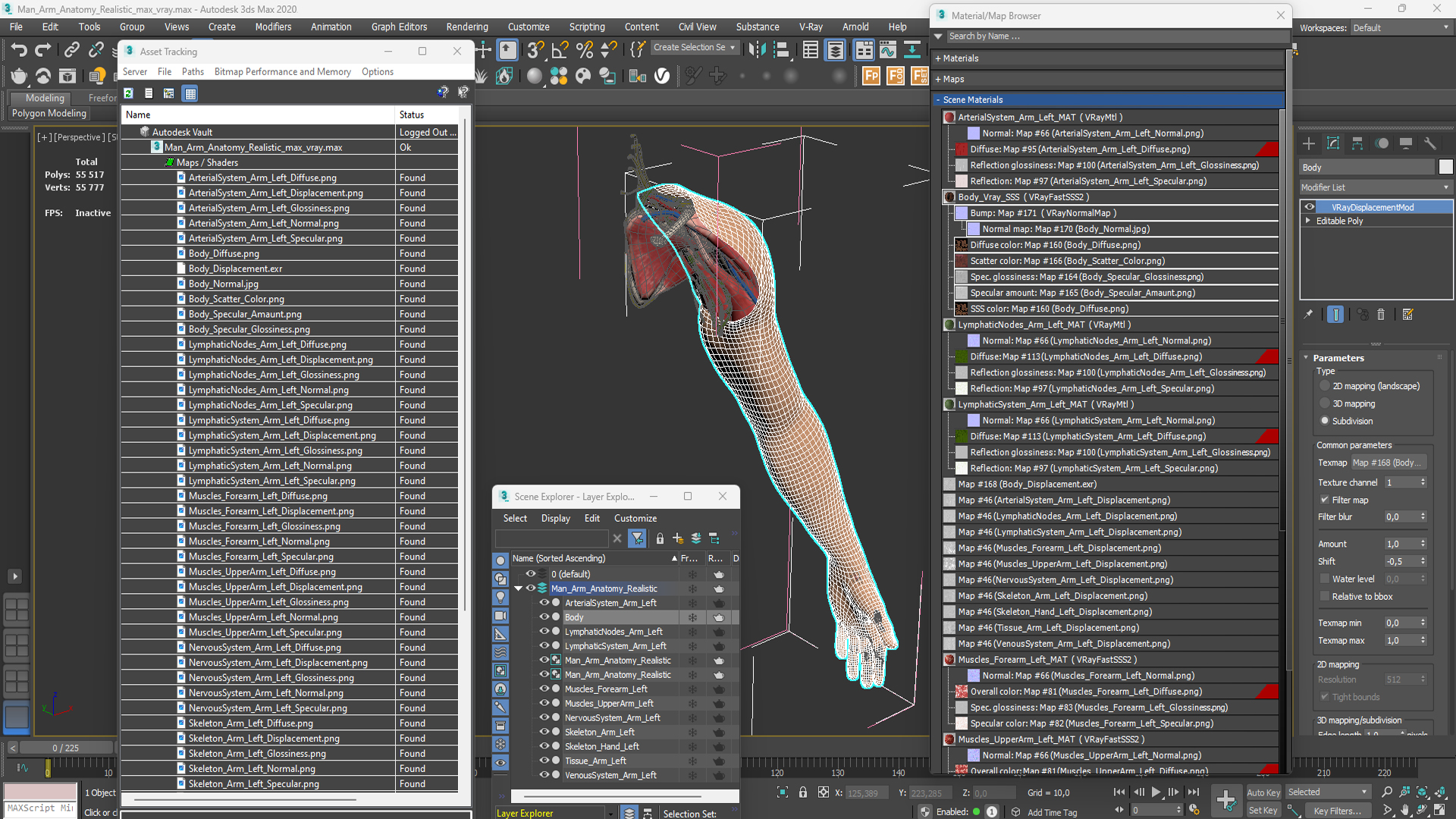 3D model Man Arm Anatomy Realistic