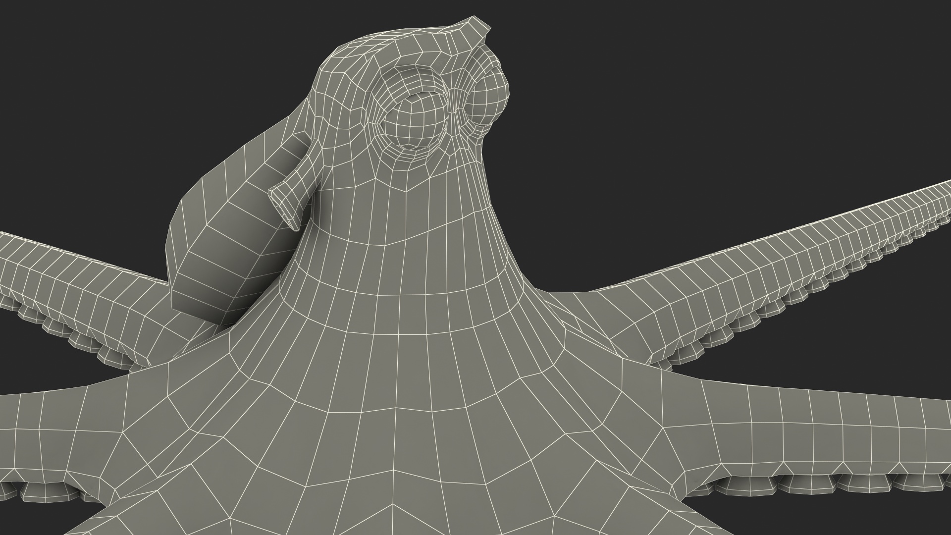 Octopus Cartoon Character Rigged 3D