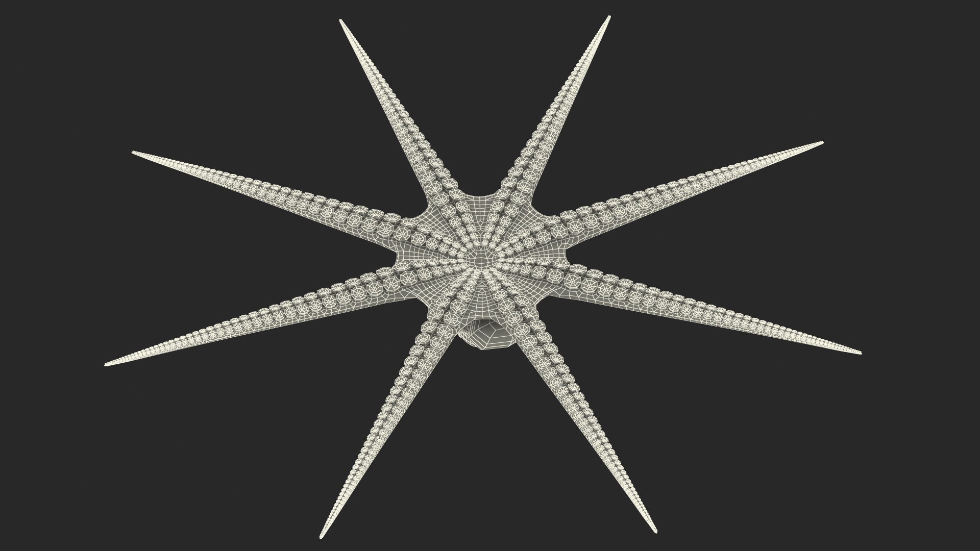 Octopus Cartoon Character Rigged 3D