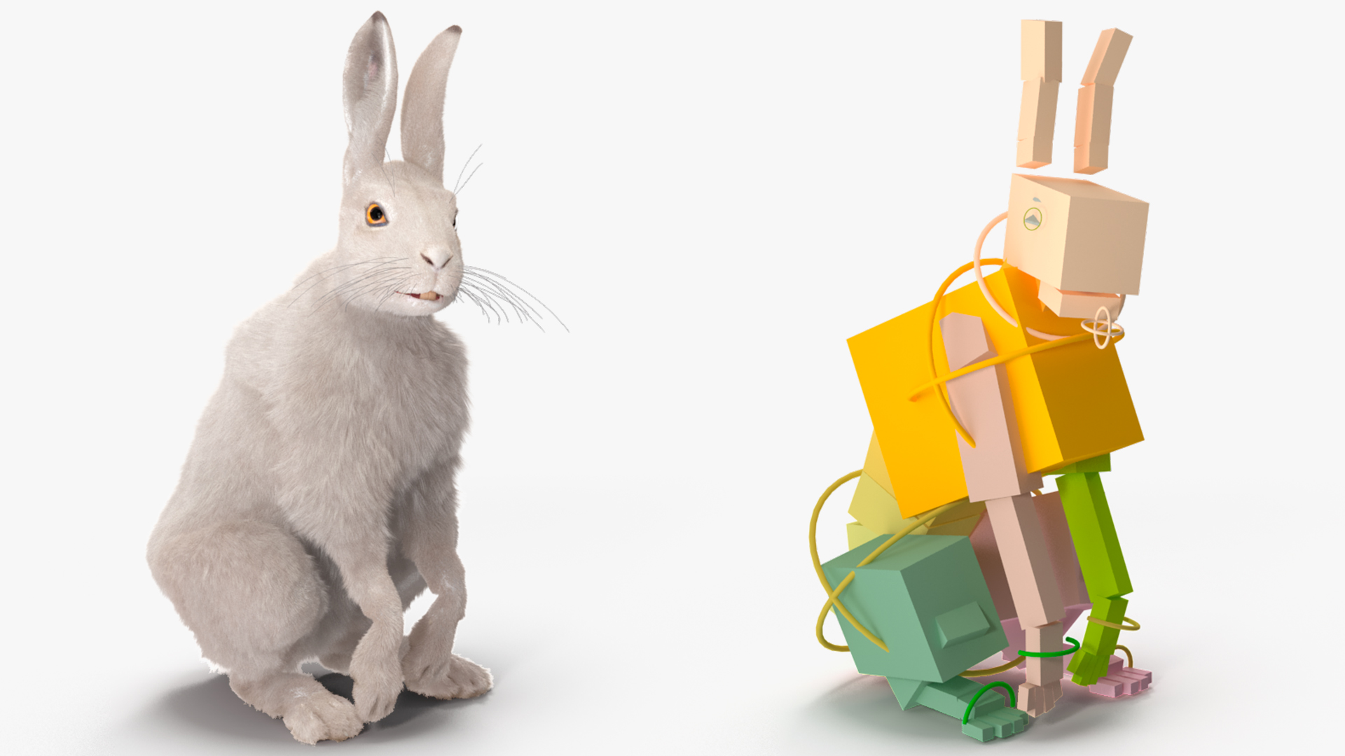 3D White Hare with Fur Animated model