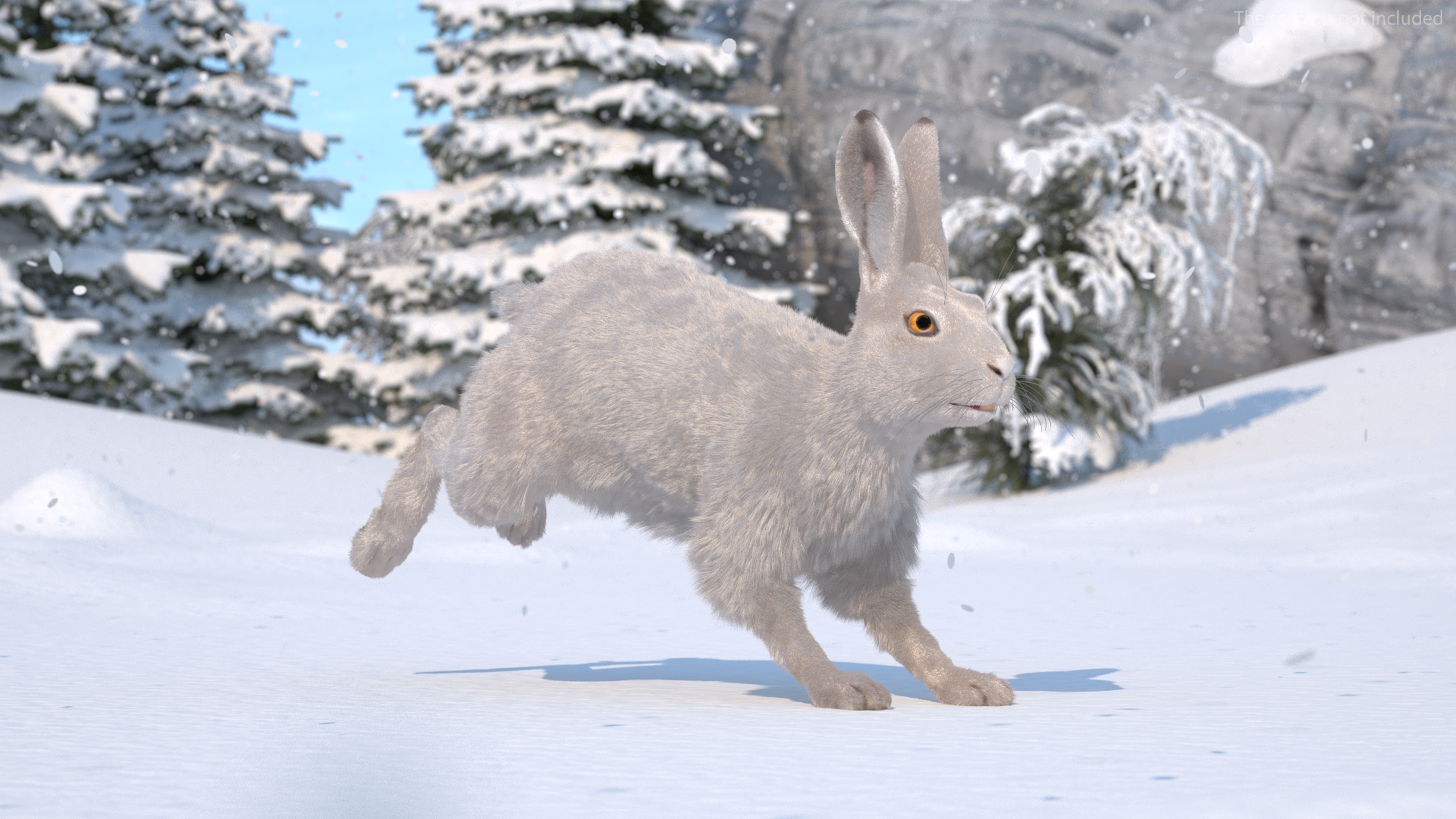 3D White Hare with Fur Animated model