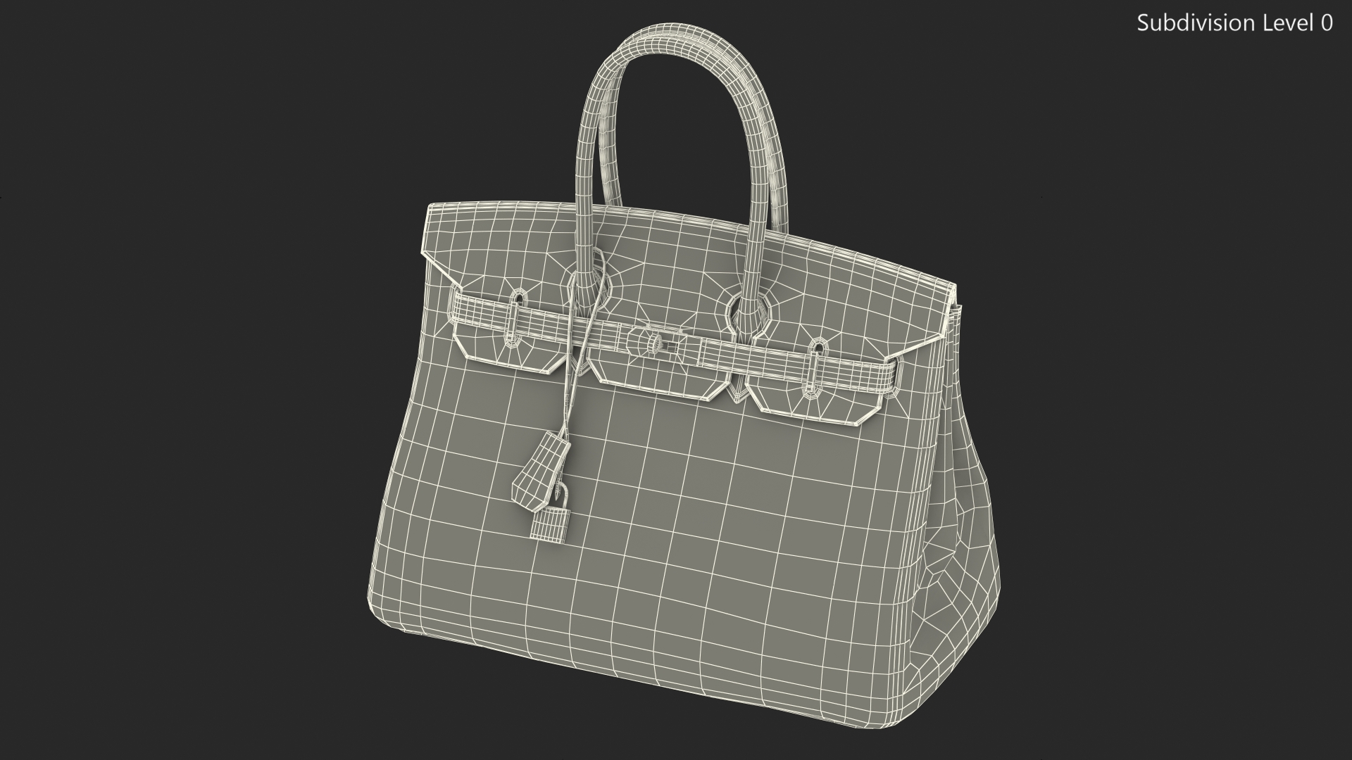 Hermes Birkin Bag Alligator 3D