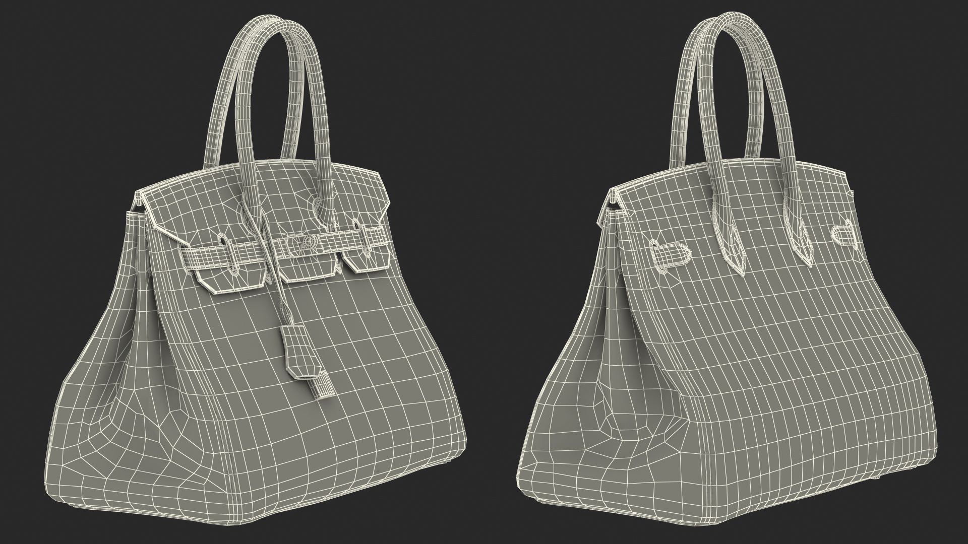 Hermes Birkin Bag Alligator 3D