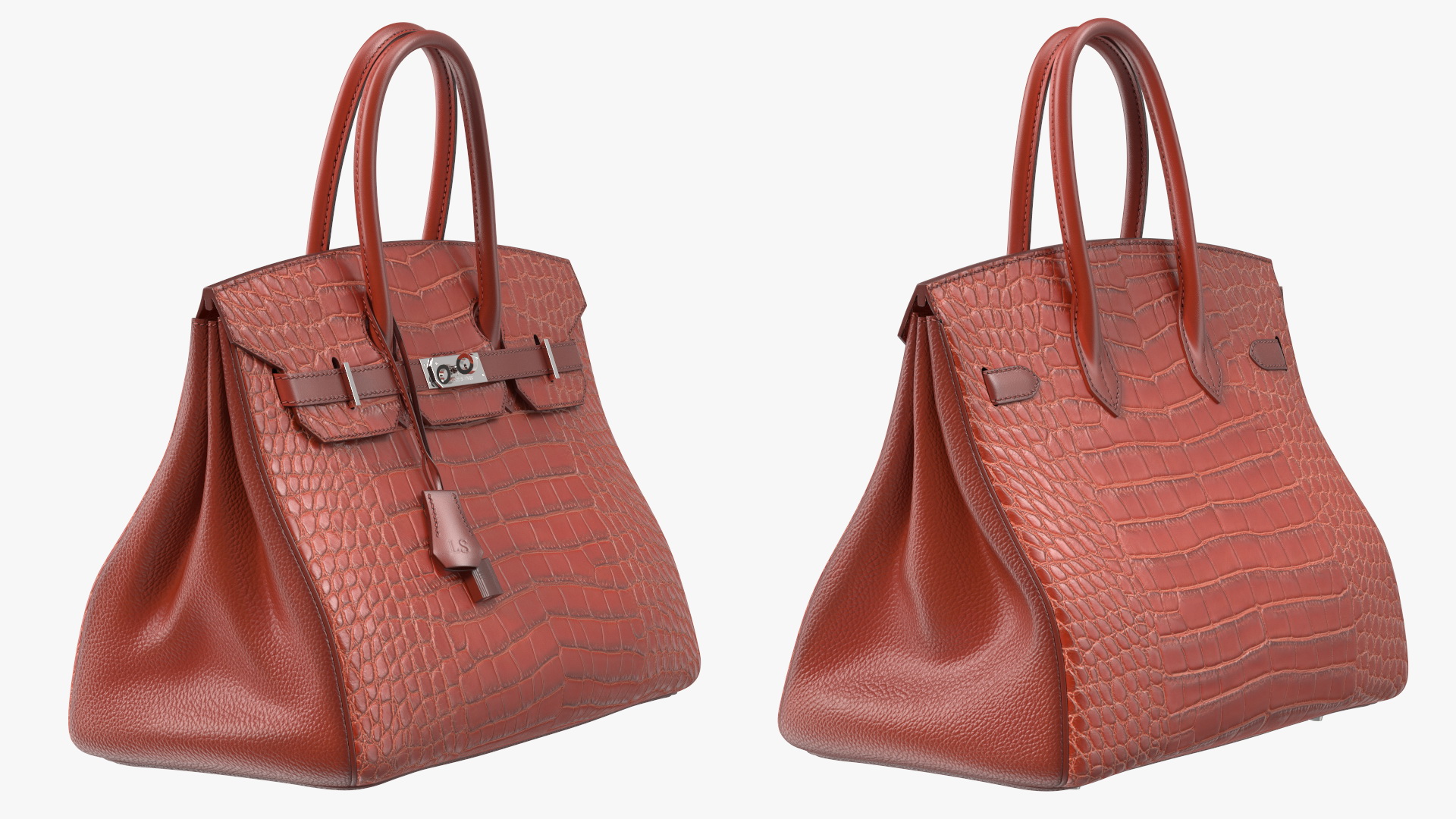 Hermes Birkin Bag Alligator 3D