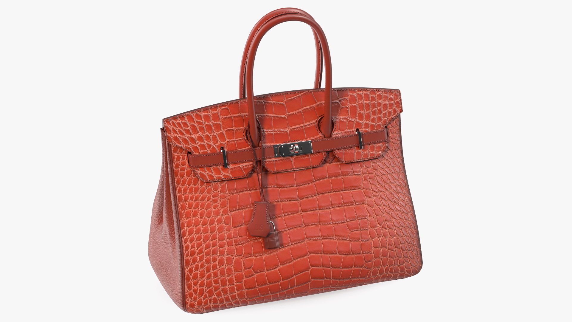 Hermes Birkin Bag Alligator 3D