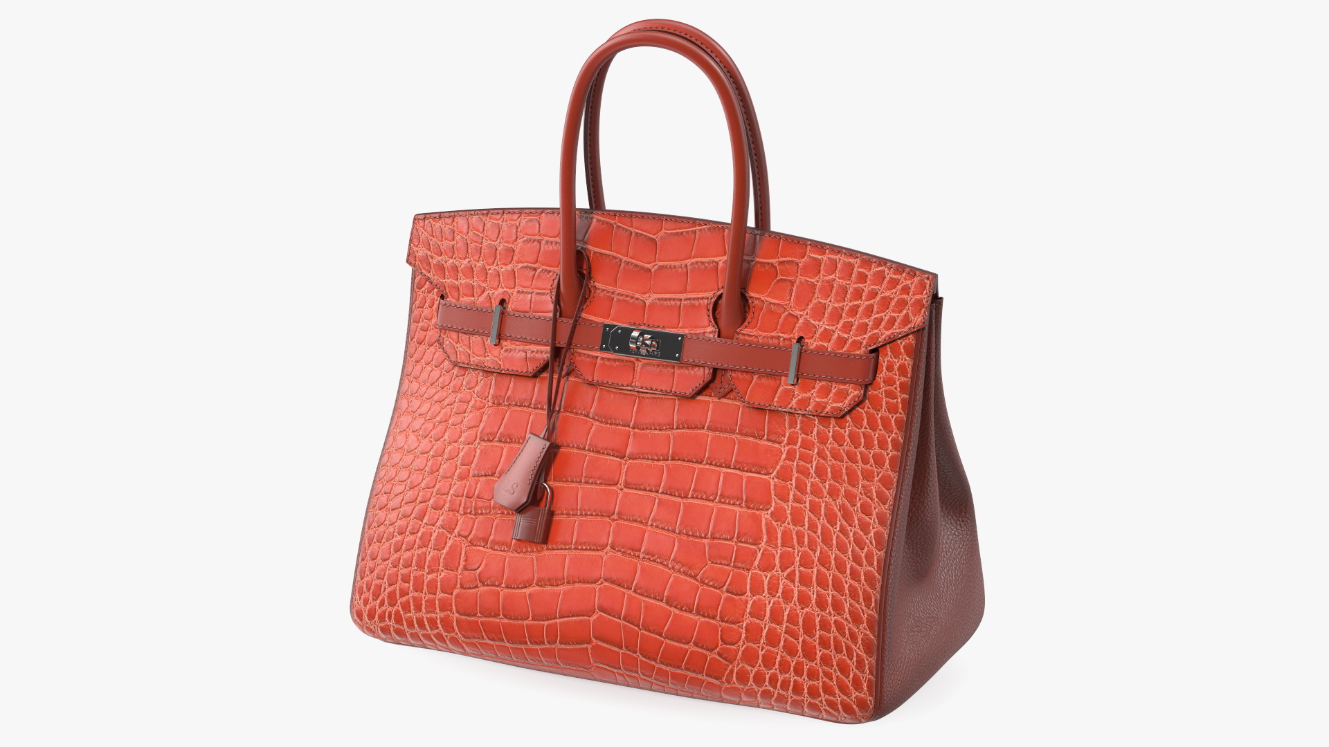 Hermes Birkin Bag Alligator 3D