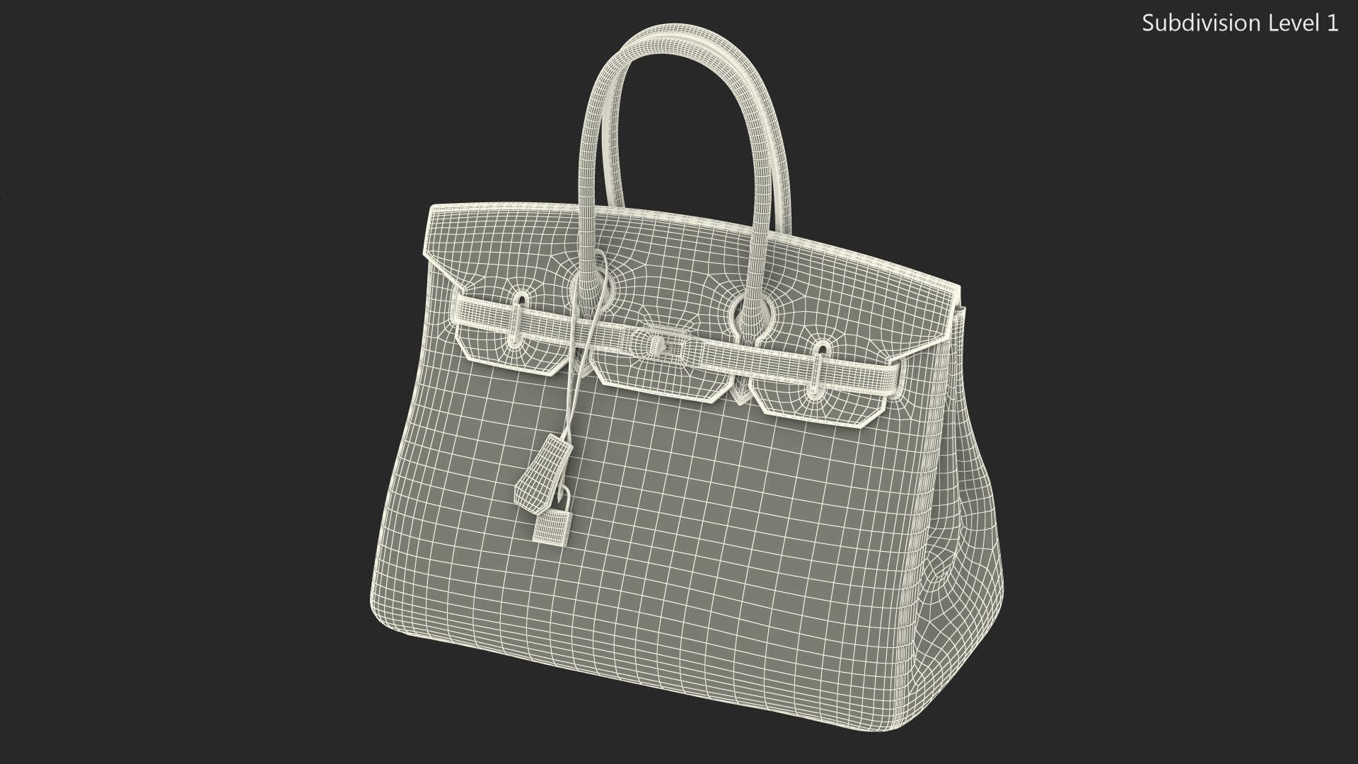 Hermes Birkin Bag Alligator 3D