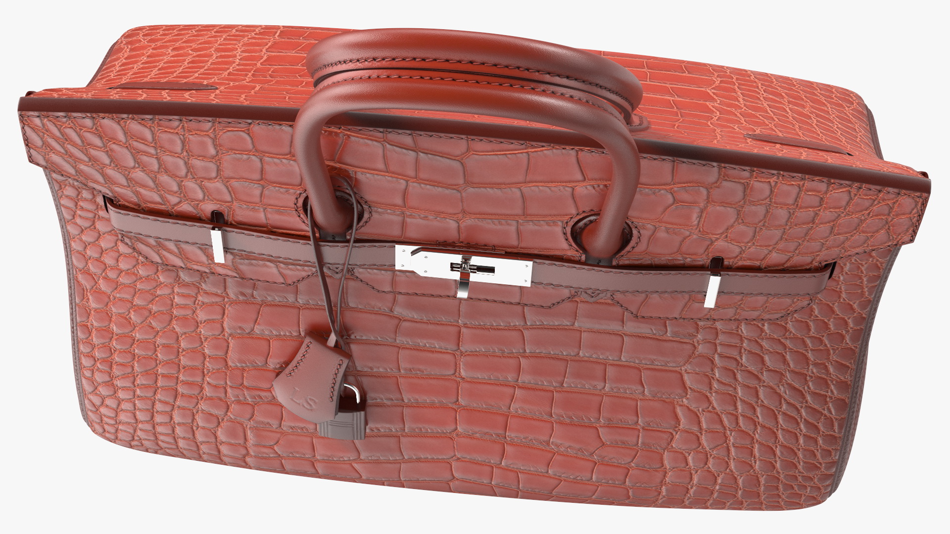 Hermes Birkin Bag Alligator 3D