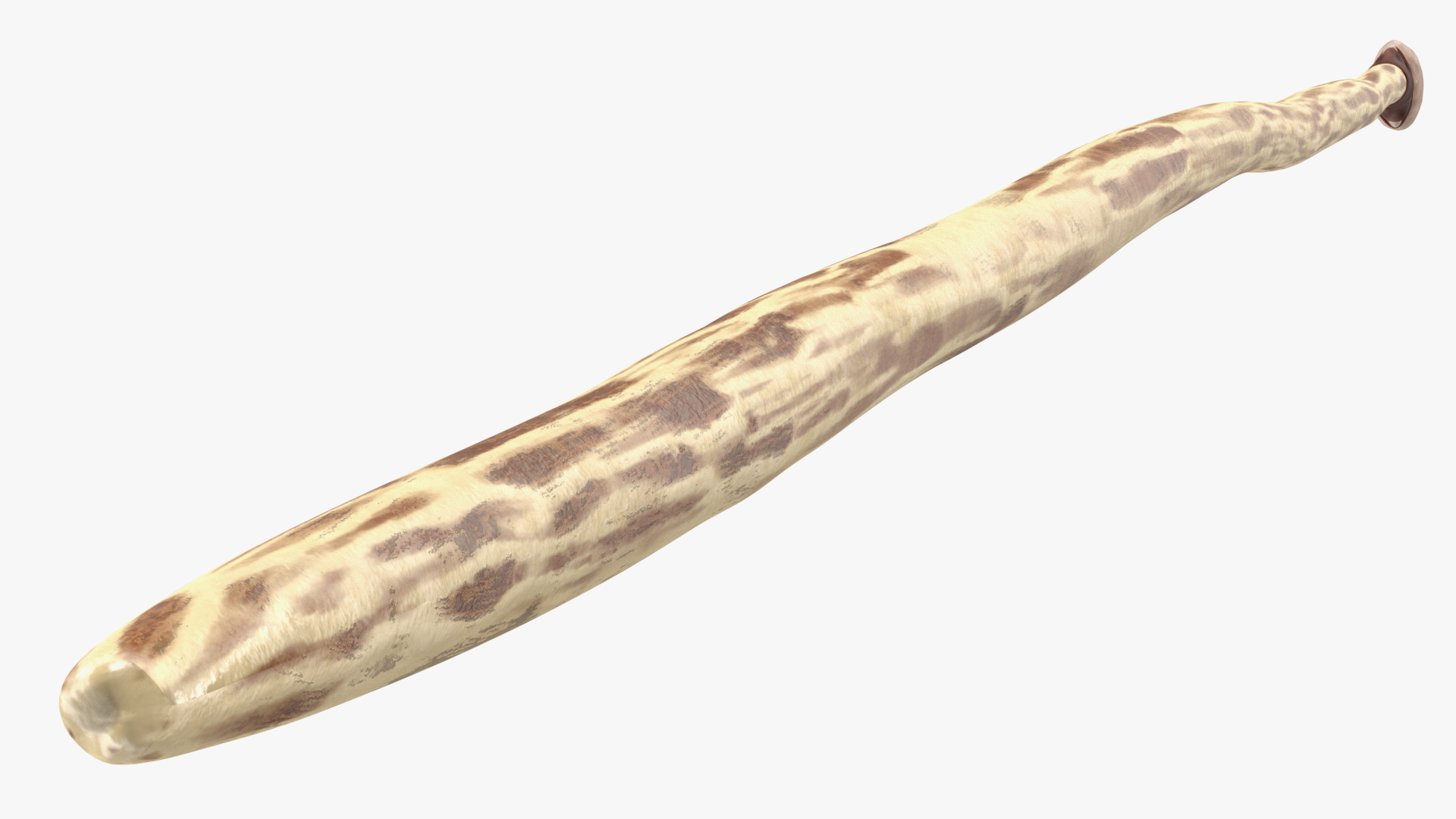 3D Ancient Spear model