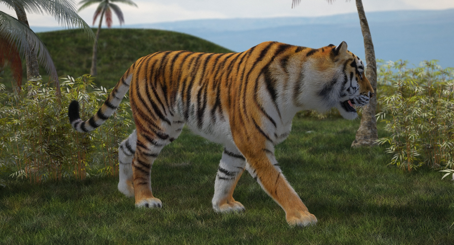 3D Tiger Walkig Pose with Fur