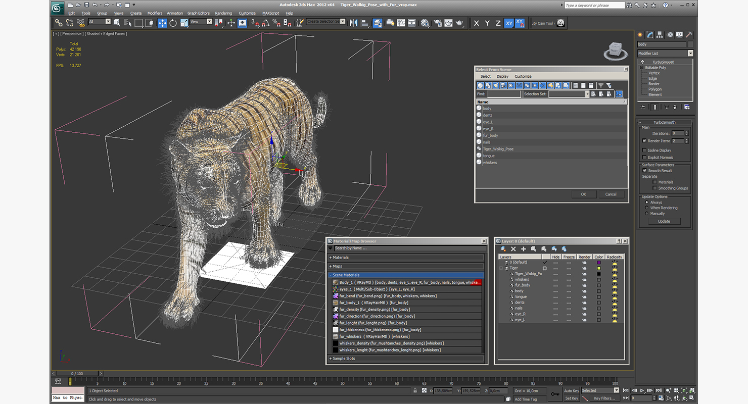 3D Tiger Walkig Pose with Fur