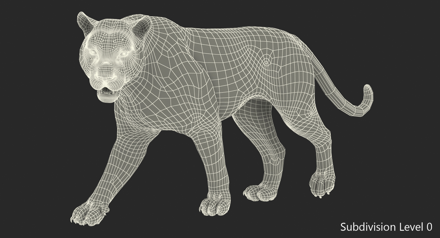 3D Tiger Walkig Pose with Fur