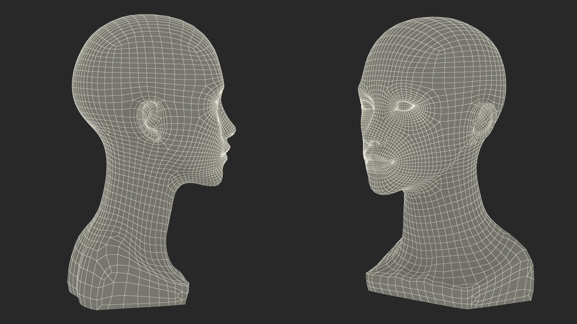 Nude Plastic Female Mannequin Head 3D model