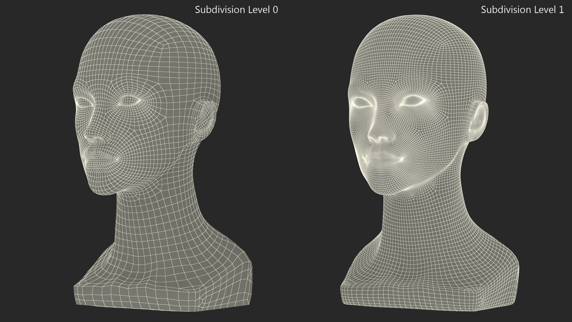 Nude Plastic Female Mannequin Head 3D model