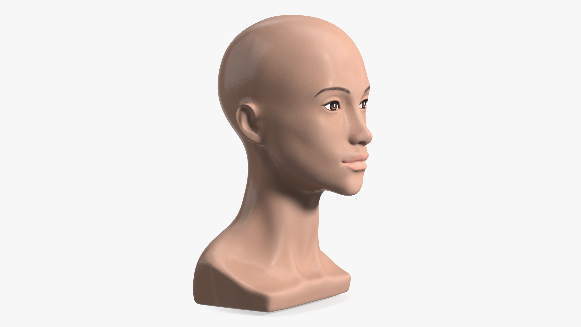 Nude Plastic Female Mannequin Head 3D model
