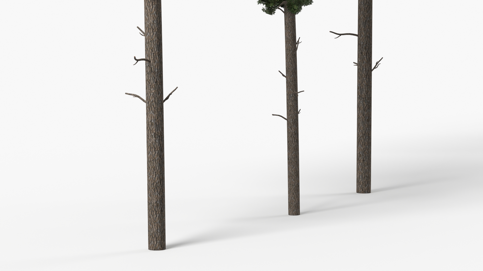 Low Poly Pine Trees Set Green - view 7