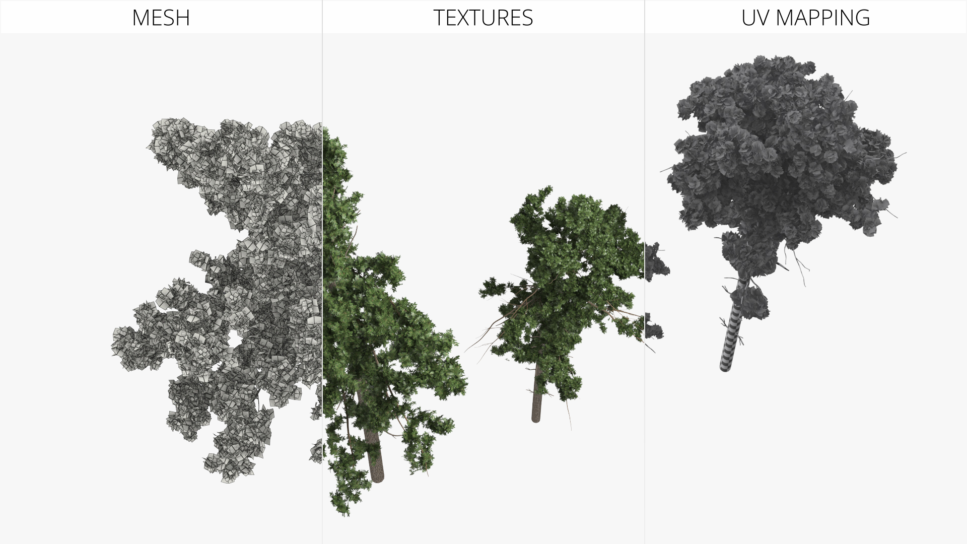 Low Poly Pine Trees Set Green - view 8