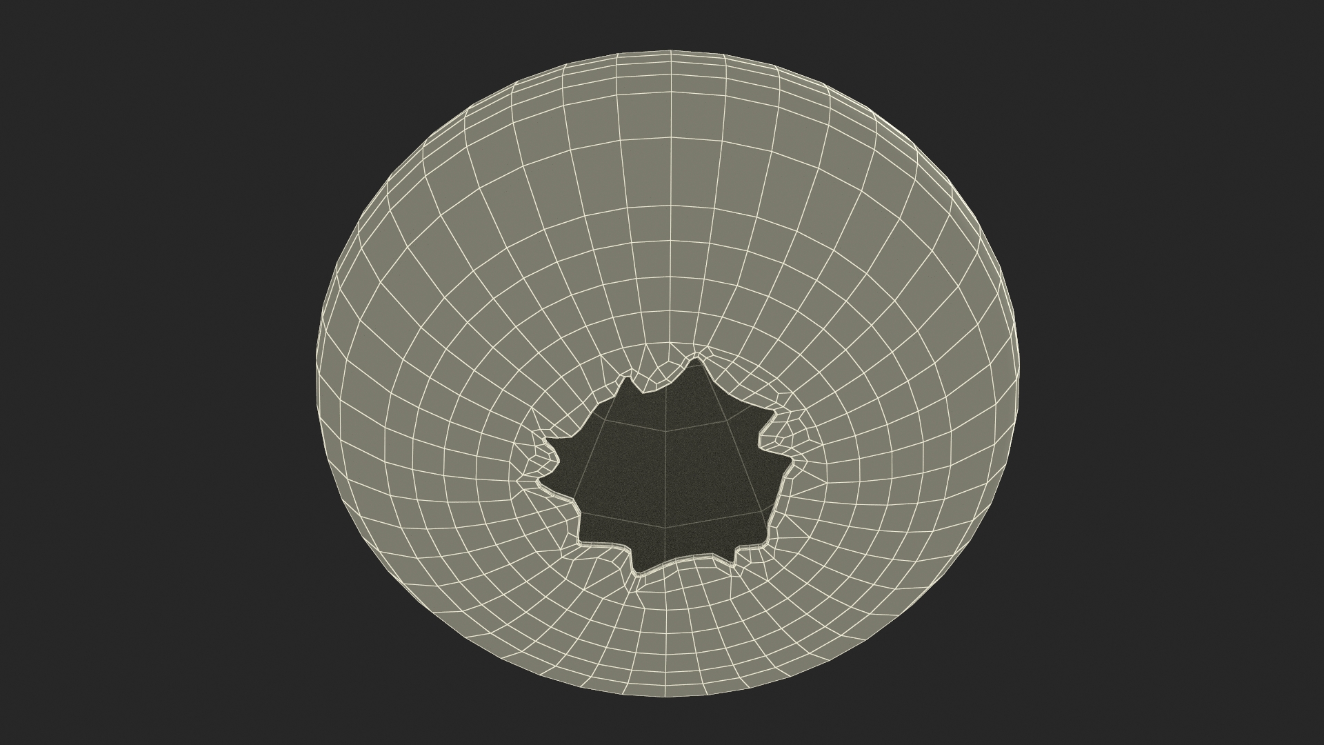 Scottish Sea Urchin Seashell Green 3D model