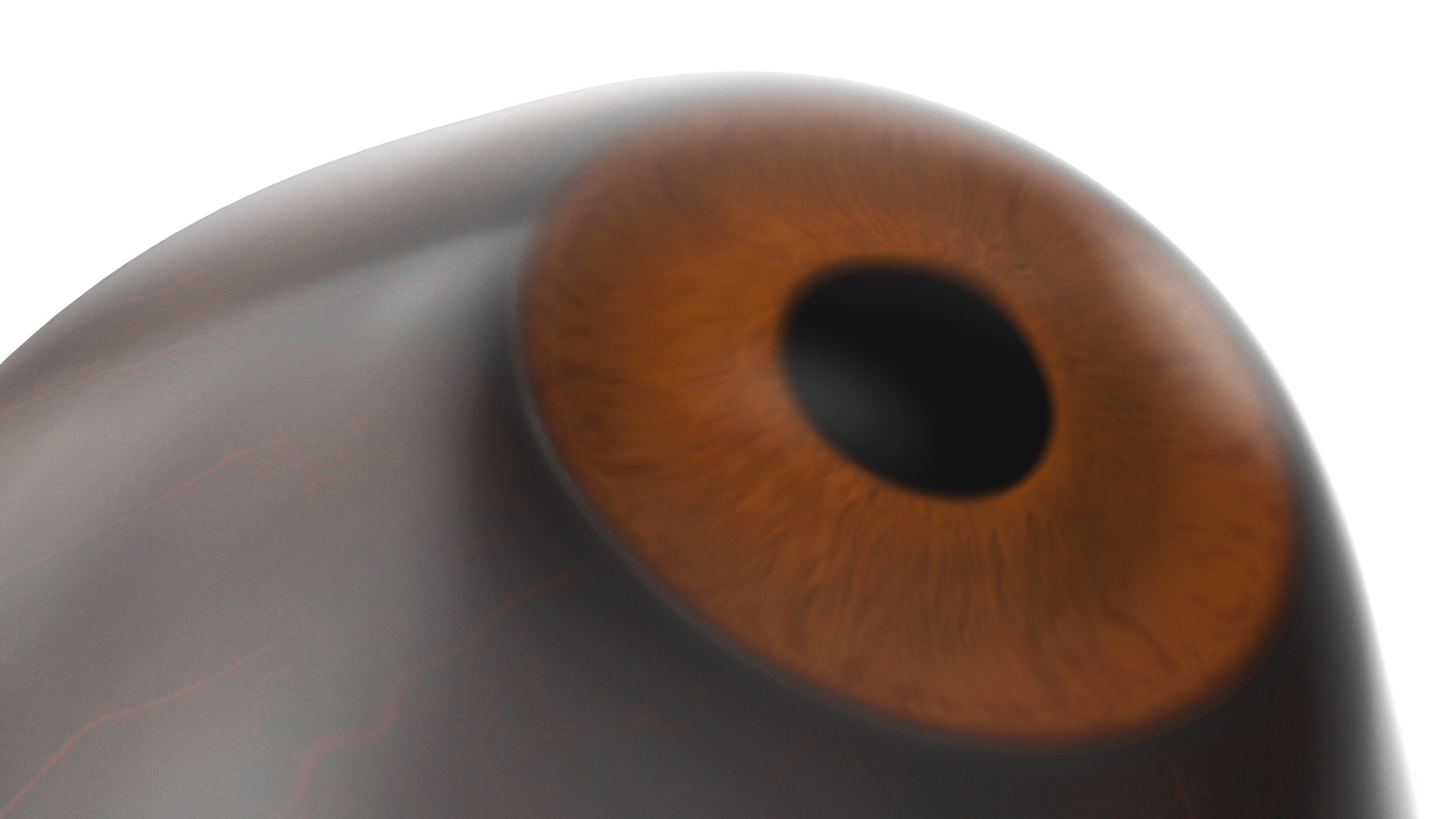 3D Realistic Gorilla Eye