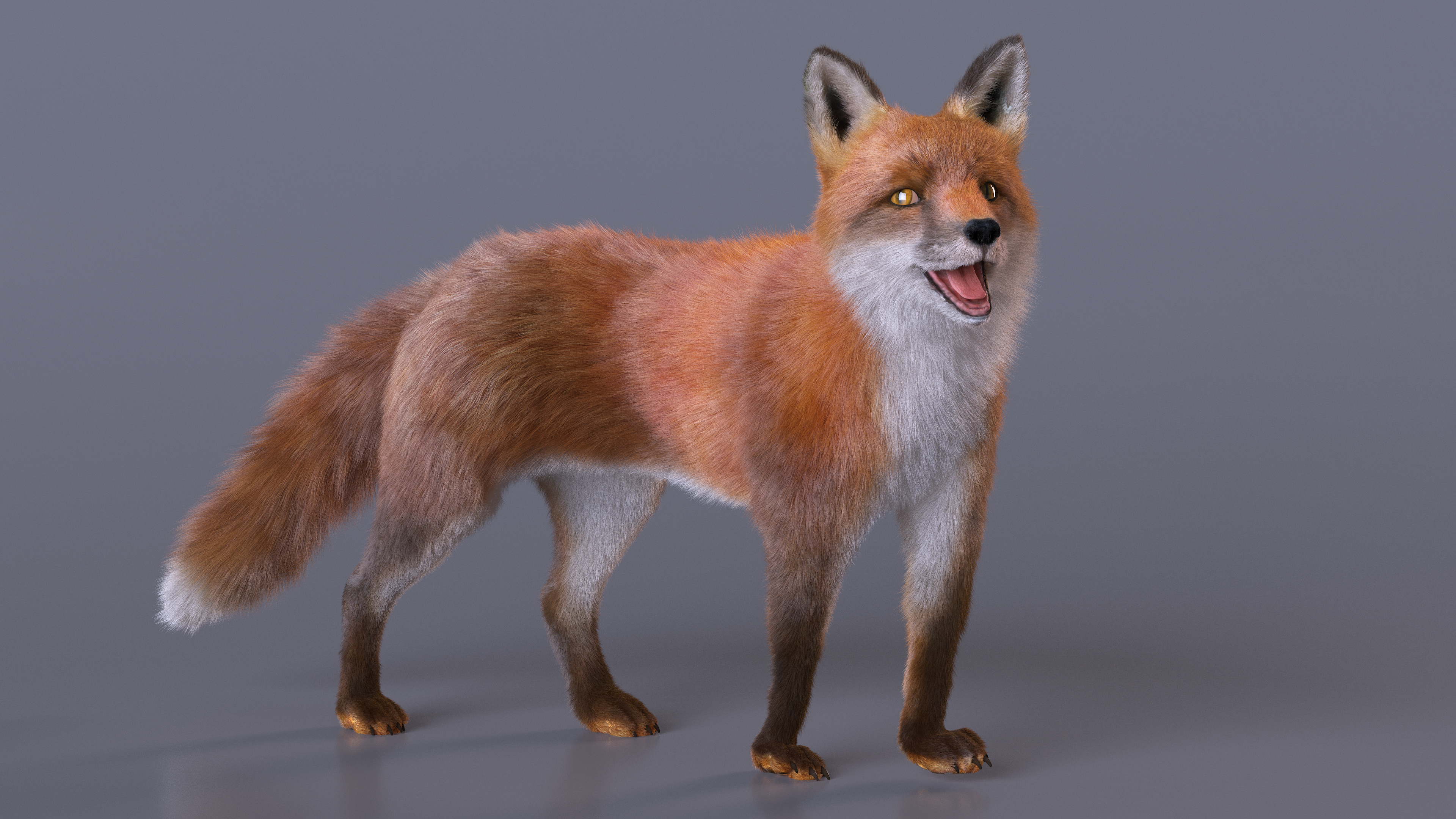 Fox Fur Rigged 3D model