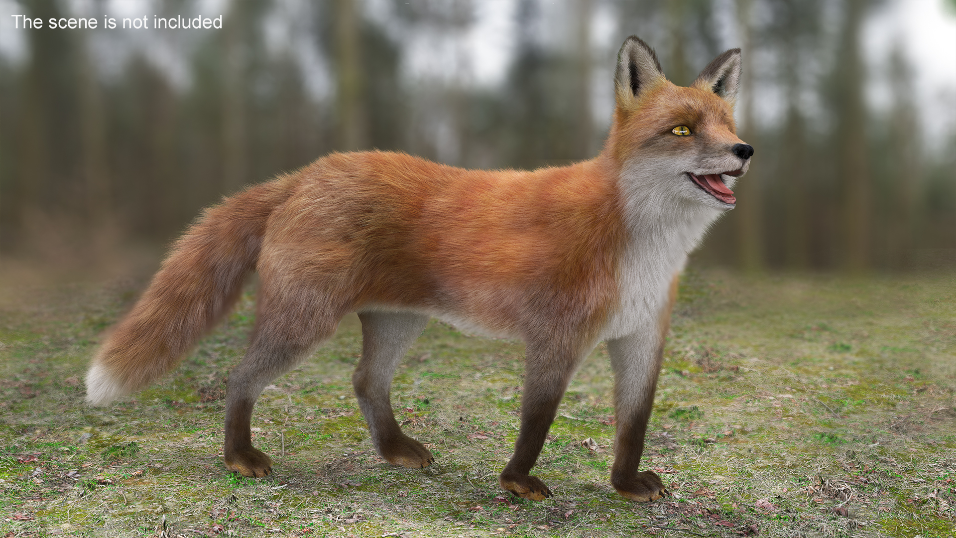 Fox Fur Rigged 3D model